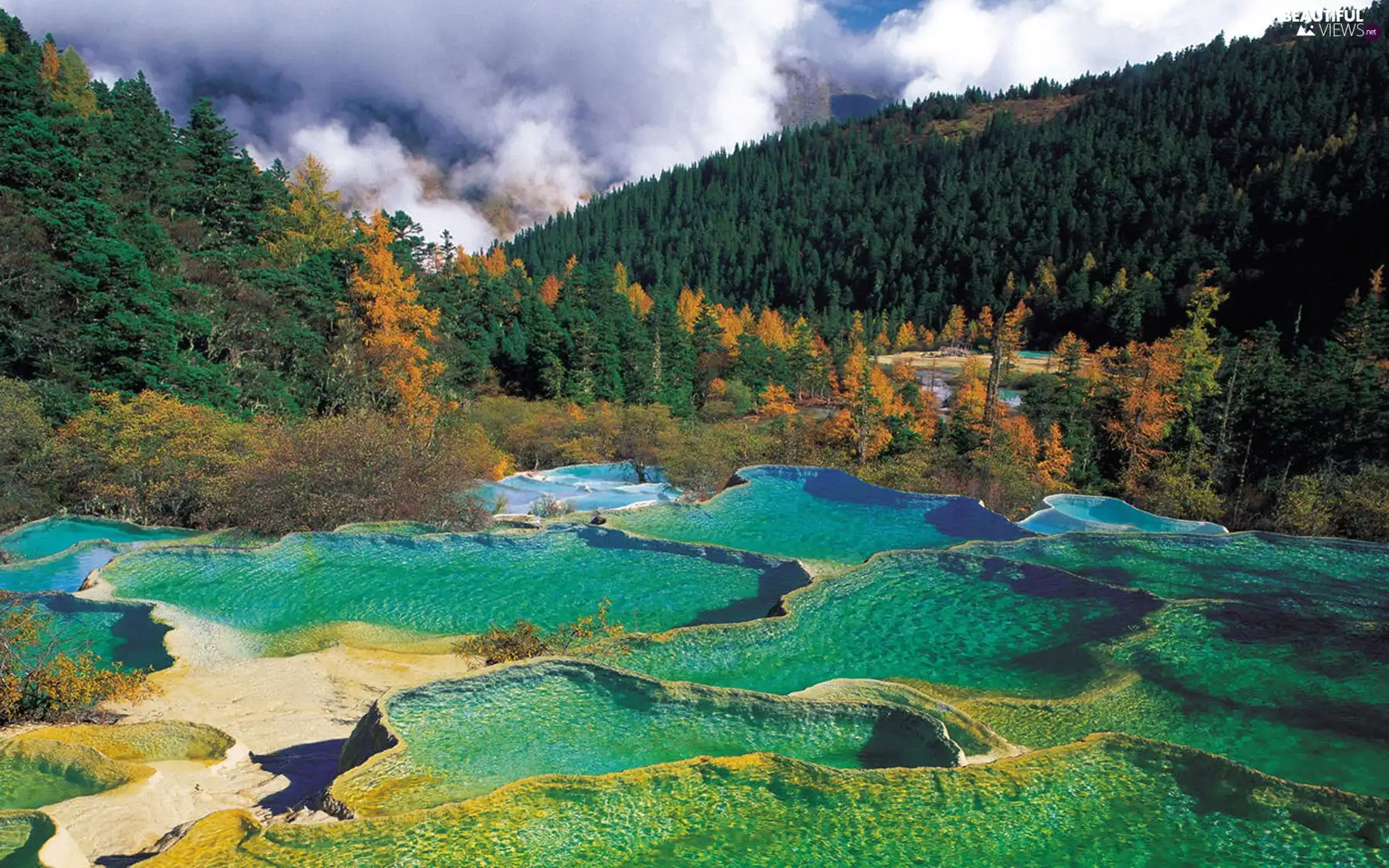 ponds, Mountains, woods