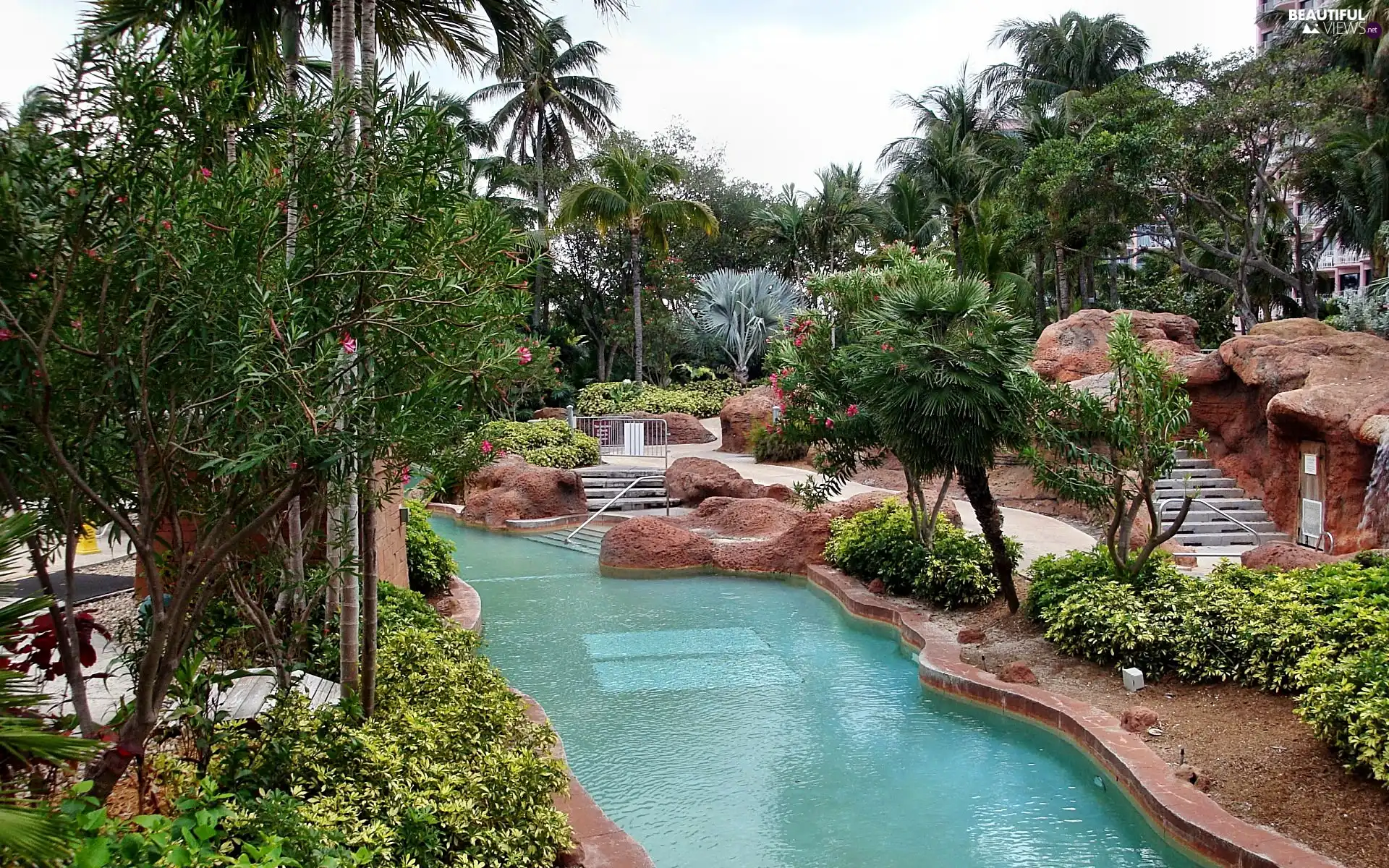 exotic, Palms, Pool, Garden