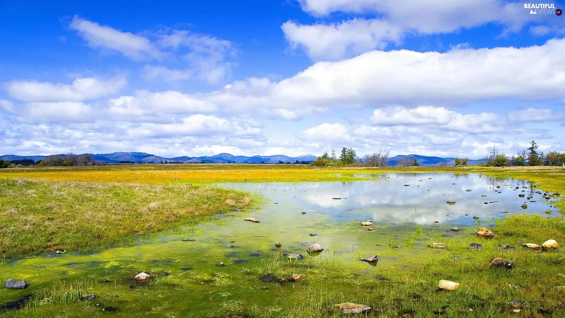 pool, Mountains, Meadow