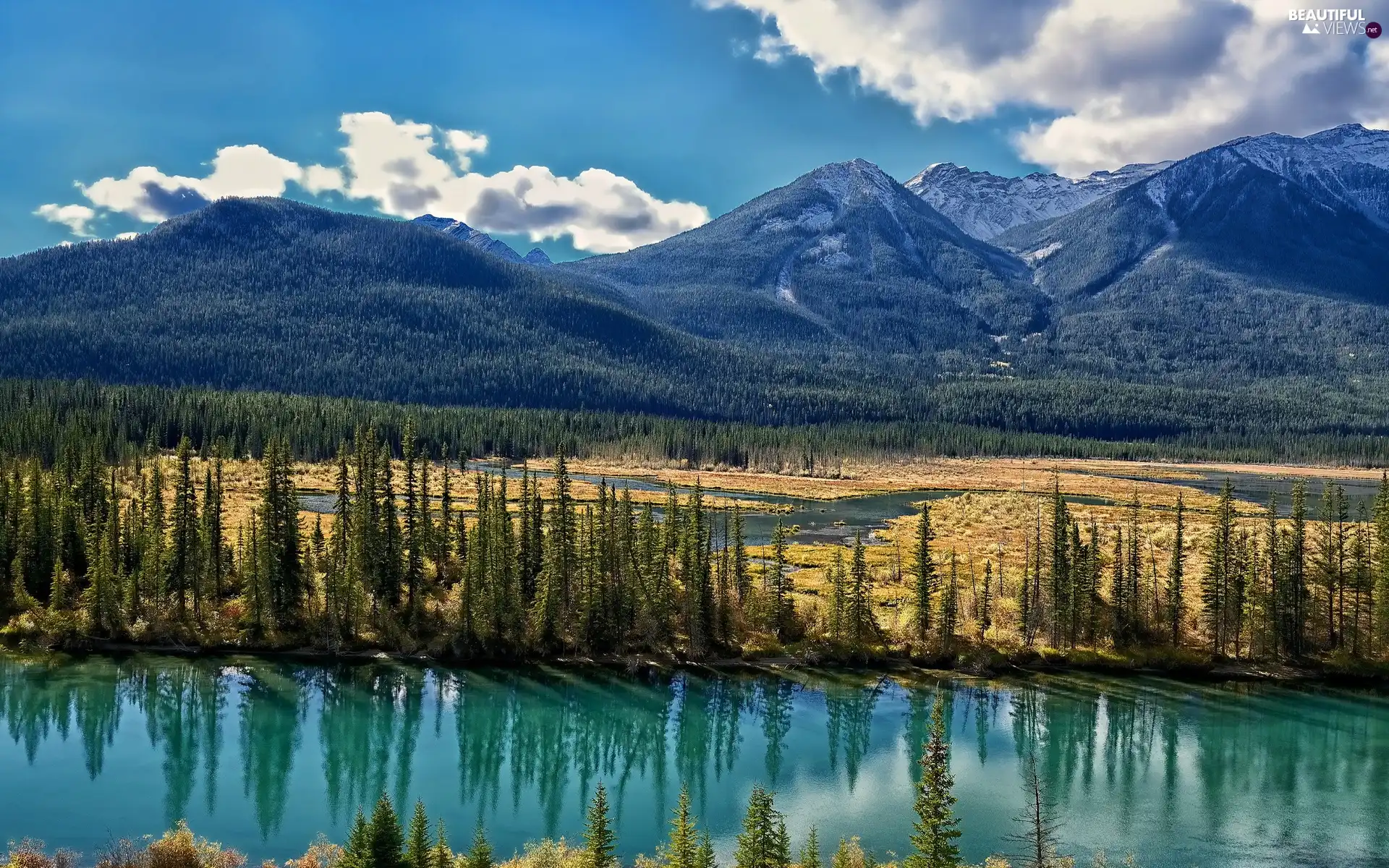 Mountains, River, pool, woods