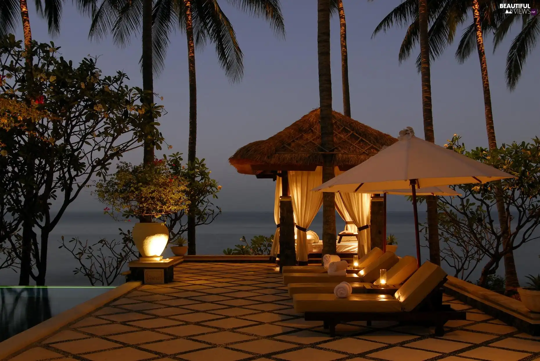 Pool, RELAX, Palms, patio, sea