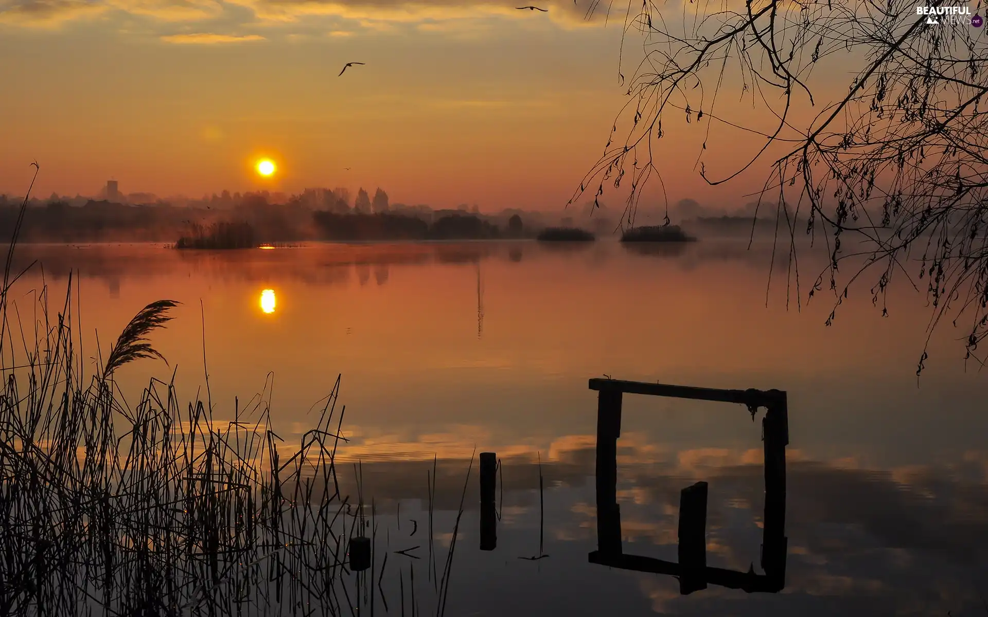 Sunrise, Szachty, Poznań, lake