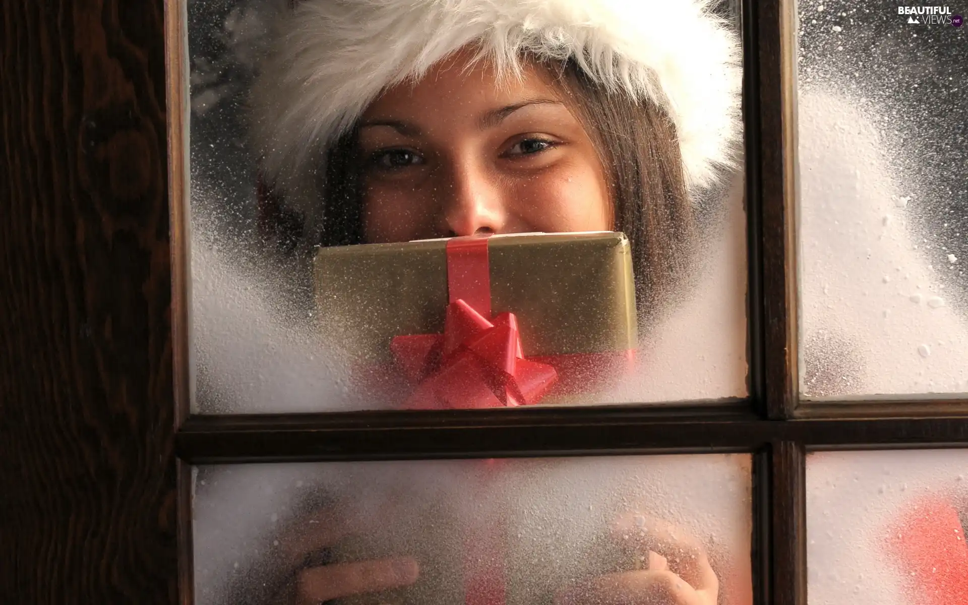 Present, Santa Claus, Window, winter, Women