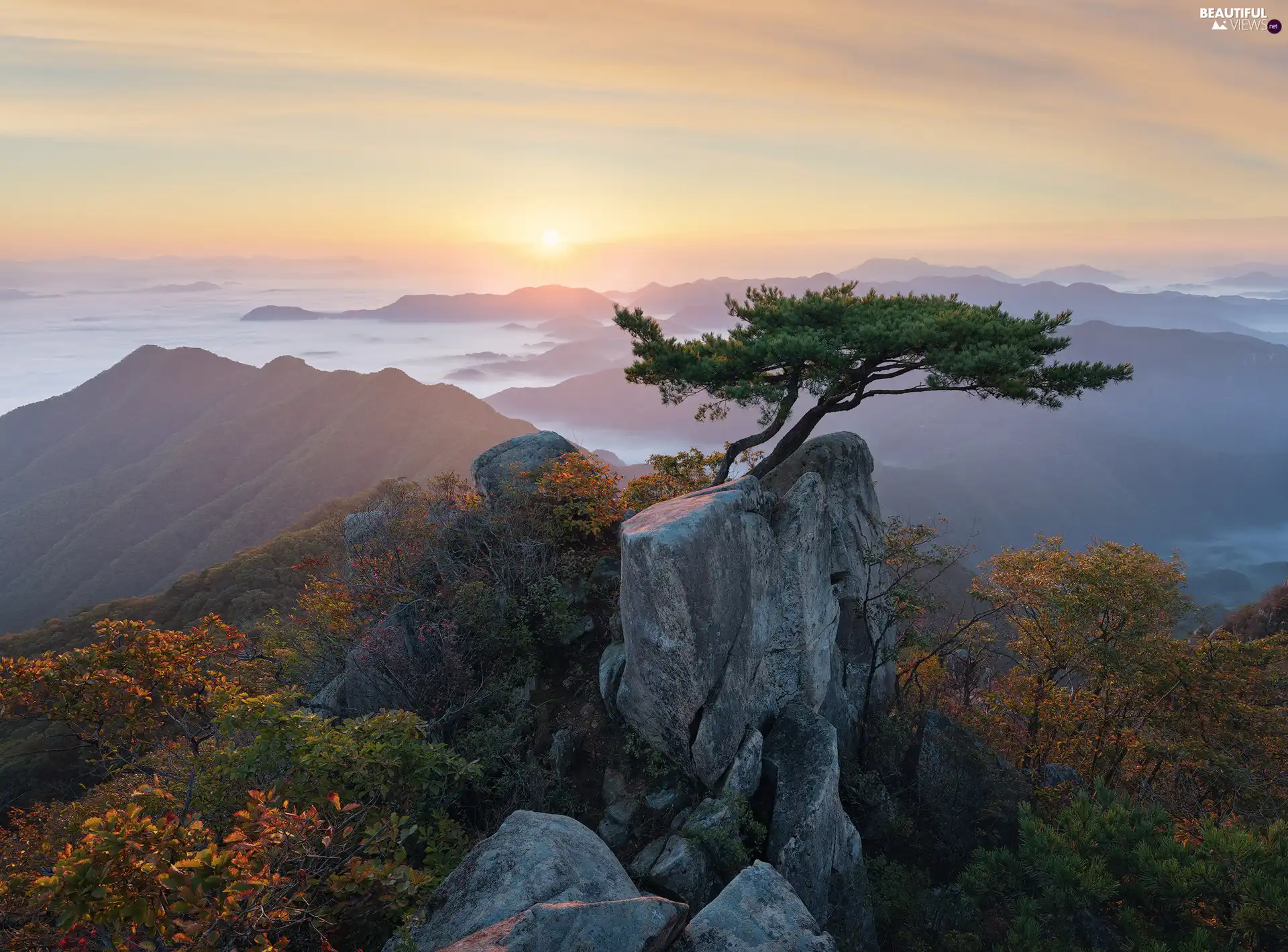 Sunrise, Daedunsan Provincial Park, trees, viewes, North Jeolla Province, South Korea, Mountains, Fog, pine
