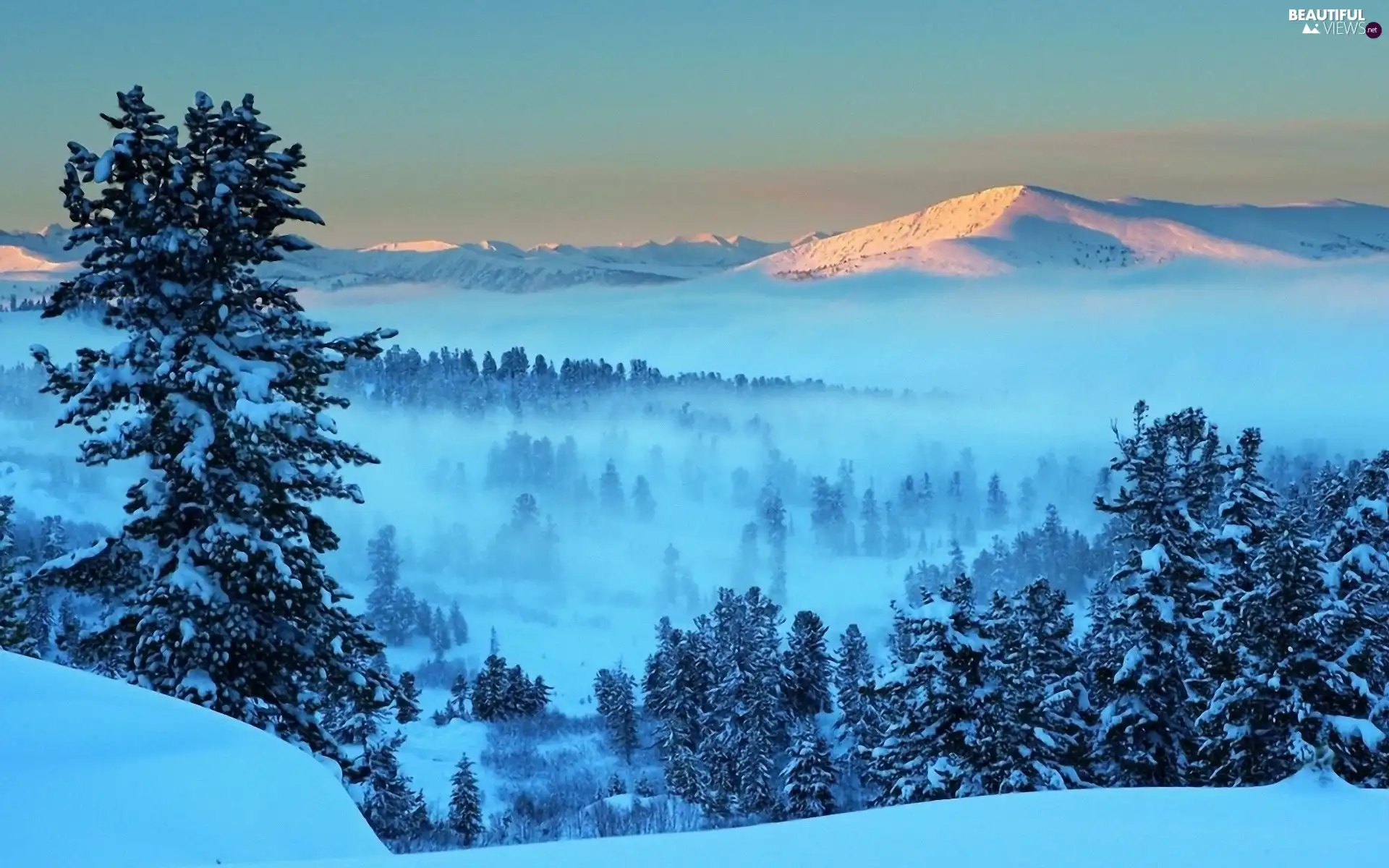 Fog, Przebijające, luminosity, ligh, flash, woods, Mountains, sun