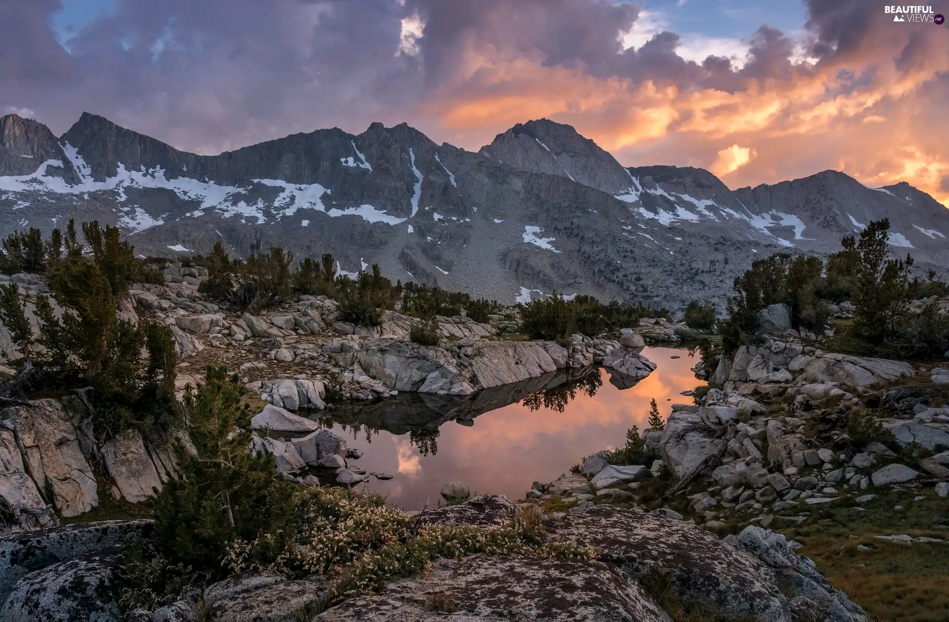 Stones, rocks, trees, puddle, Mountains, young, viewes