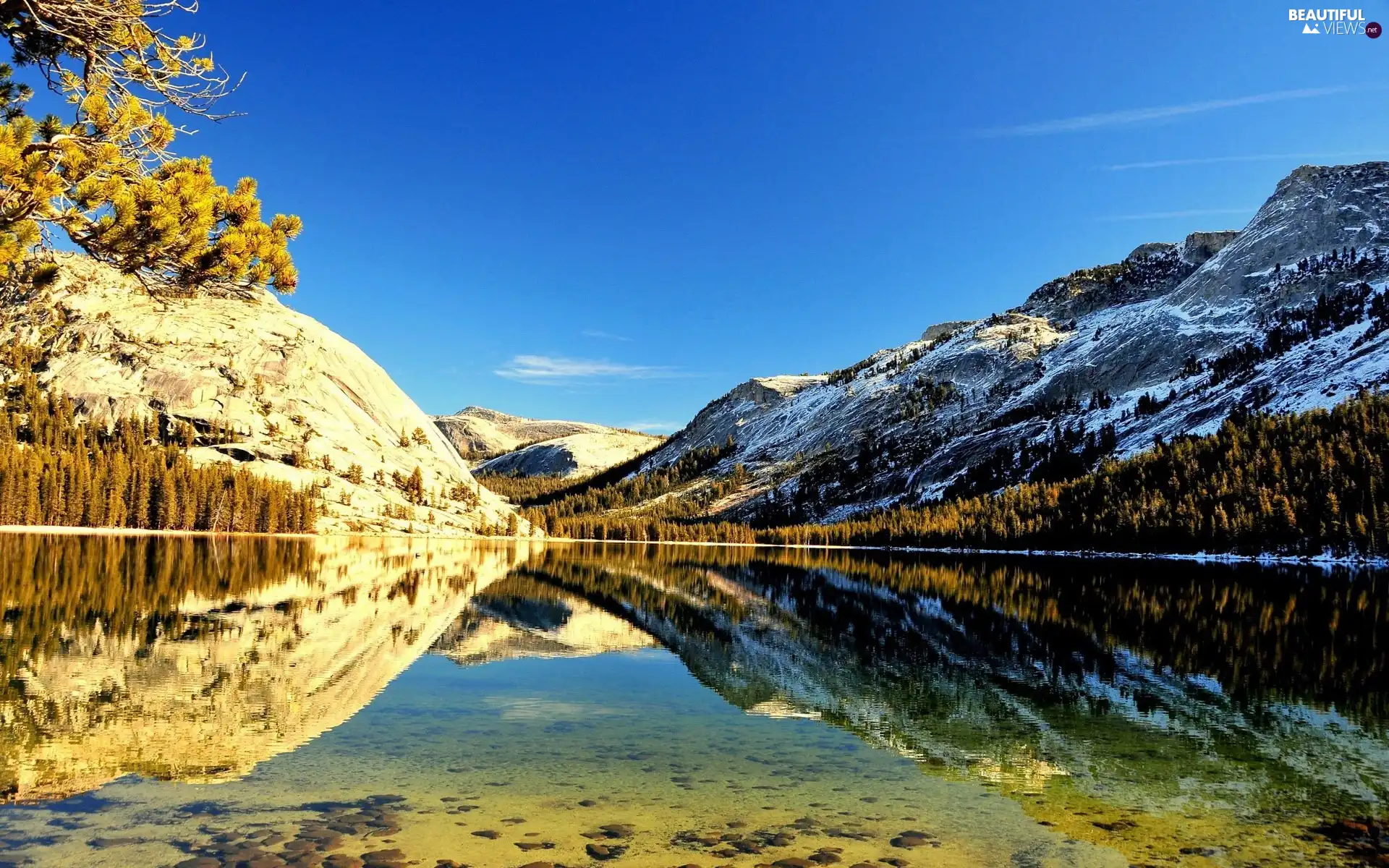 Pure, water, trees, viewes, Mountains