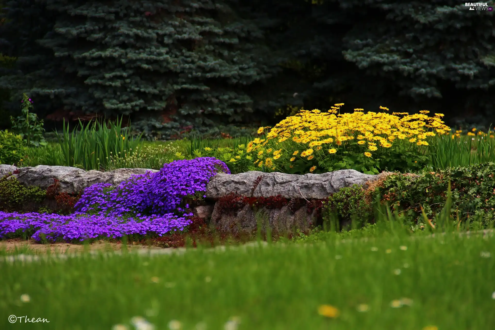 purple, Stones, Flowers, Yellow, Garden