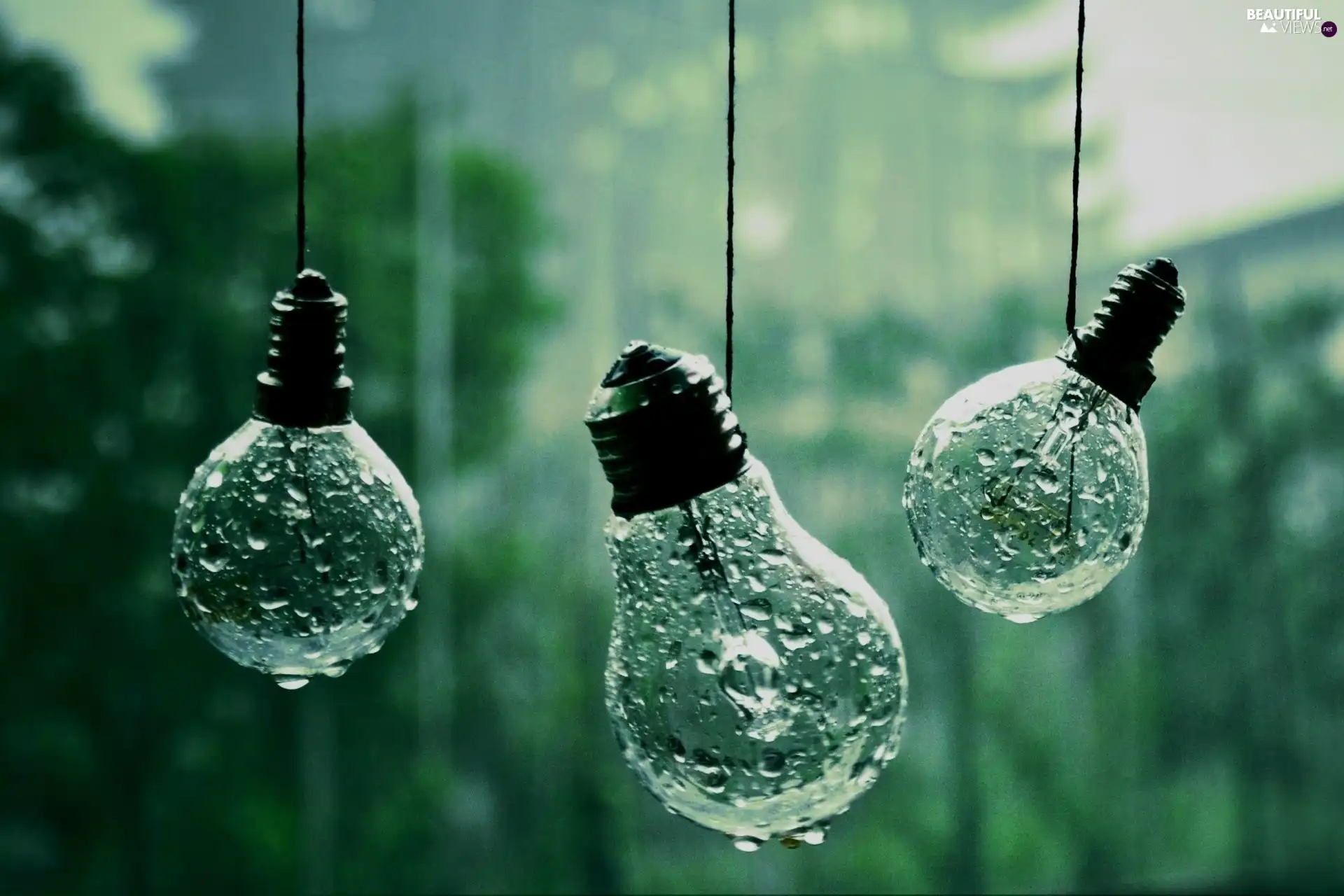 Rain, hanging, Bulbs
