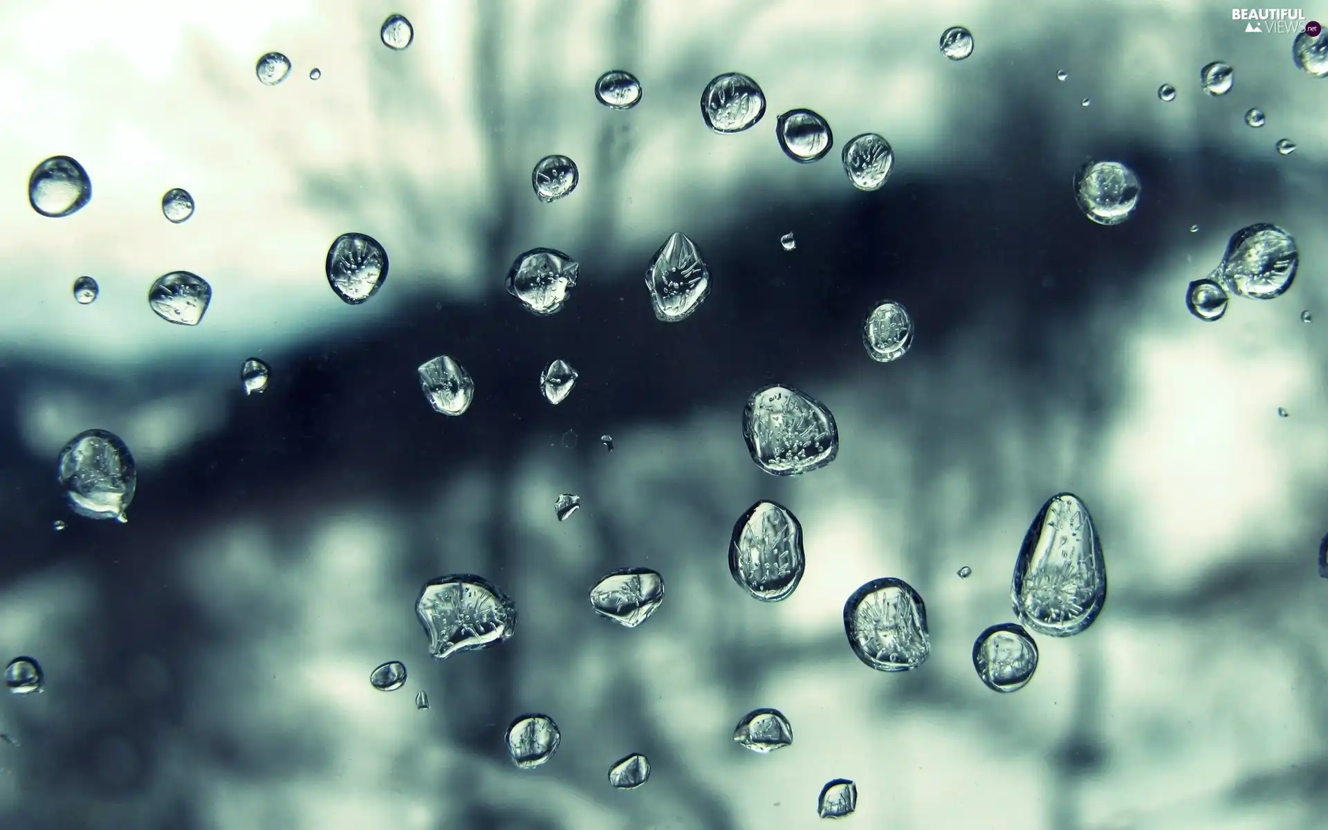 Rain, drops, water