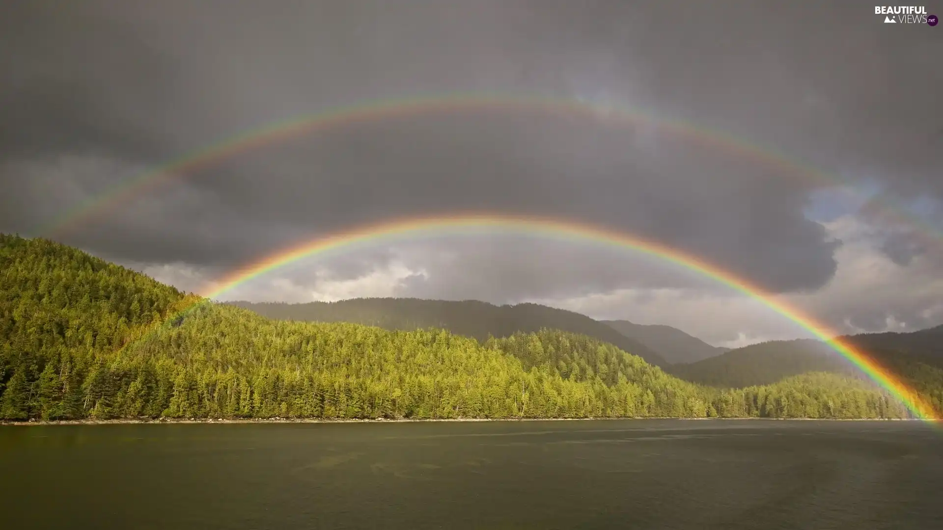 landscape, forest, rainbows, lake
