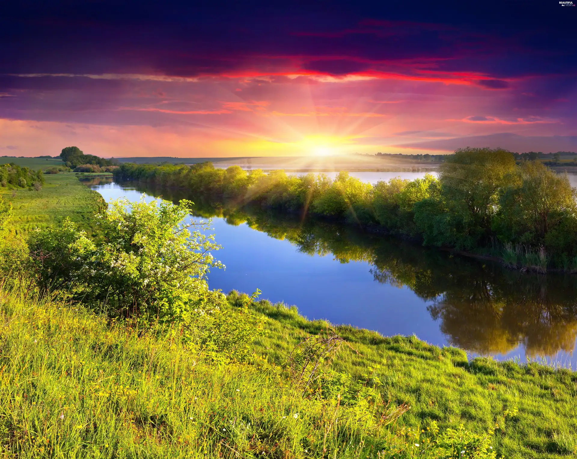 viewes, medows, sun, trees, River, rays, autumn