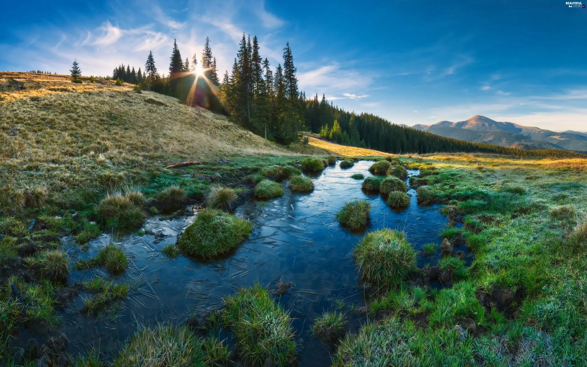 rays, The Hills, Clumps, grass, sun, River