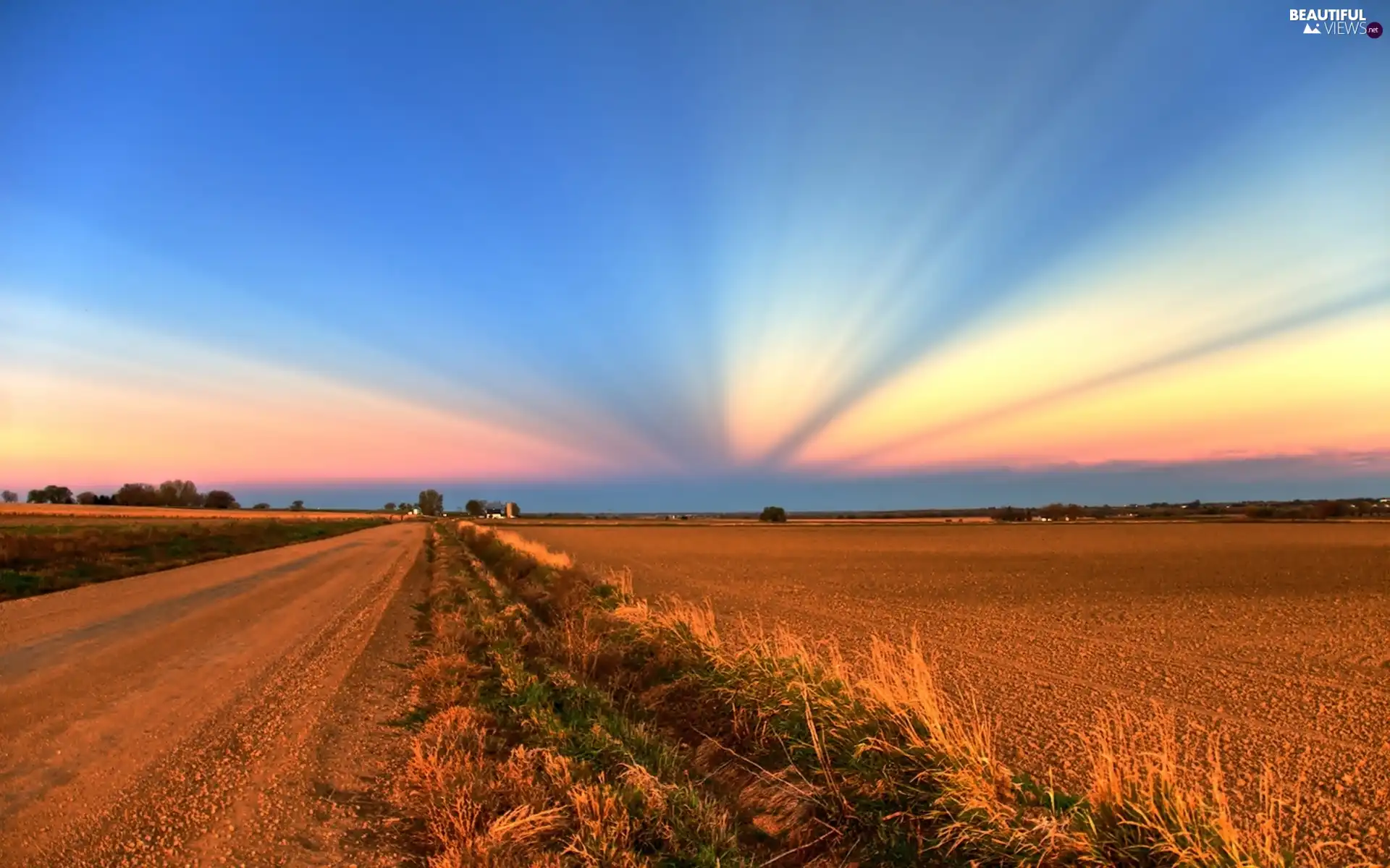 Field, rays