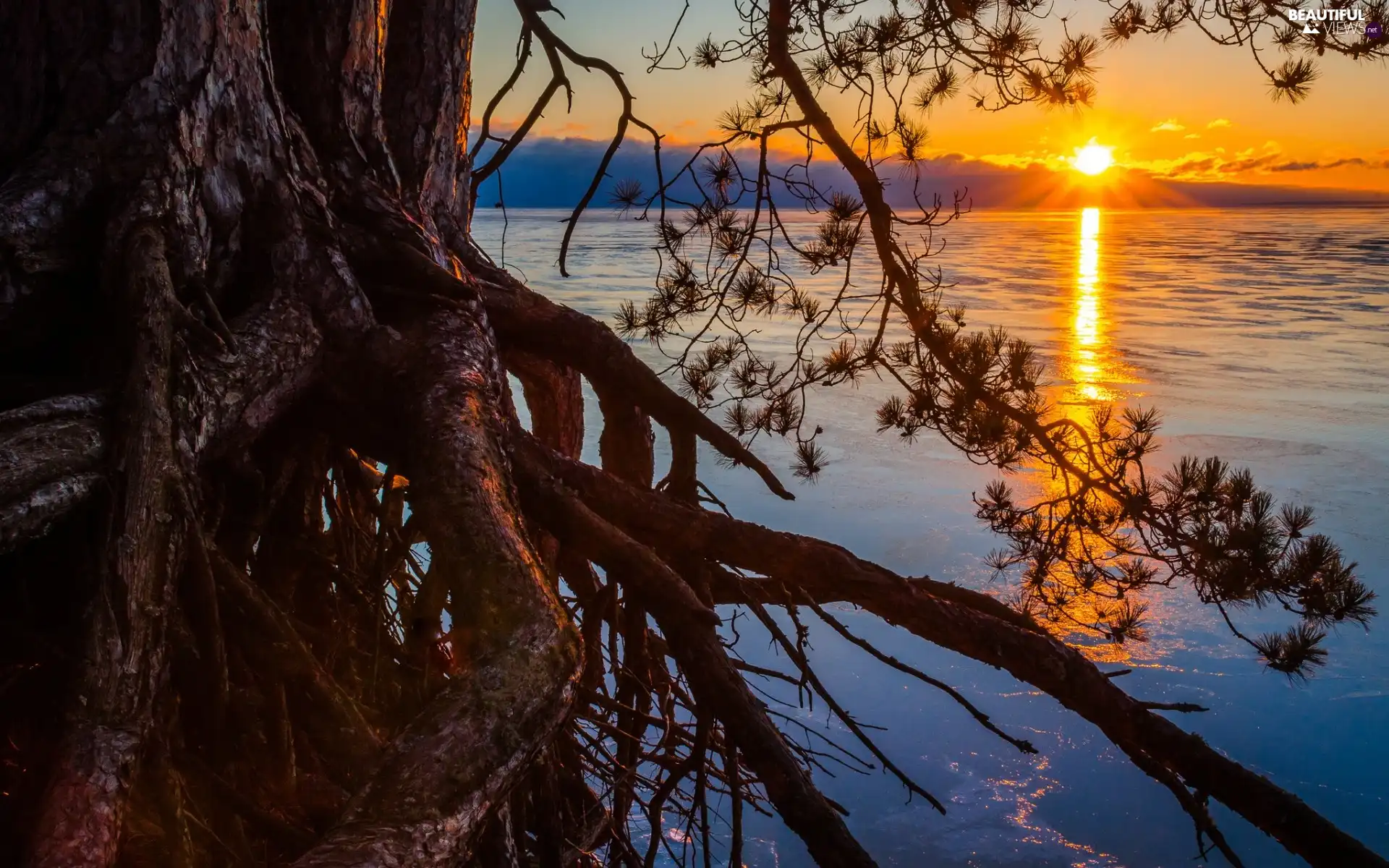 viewes, lake, rays, sun, clouds, trees