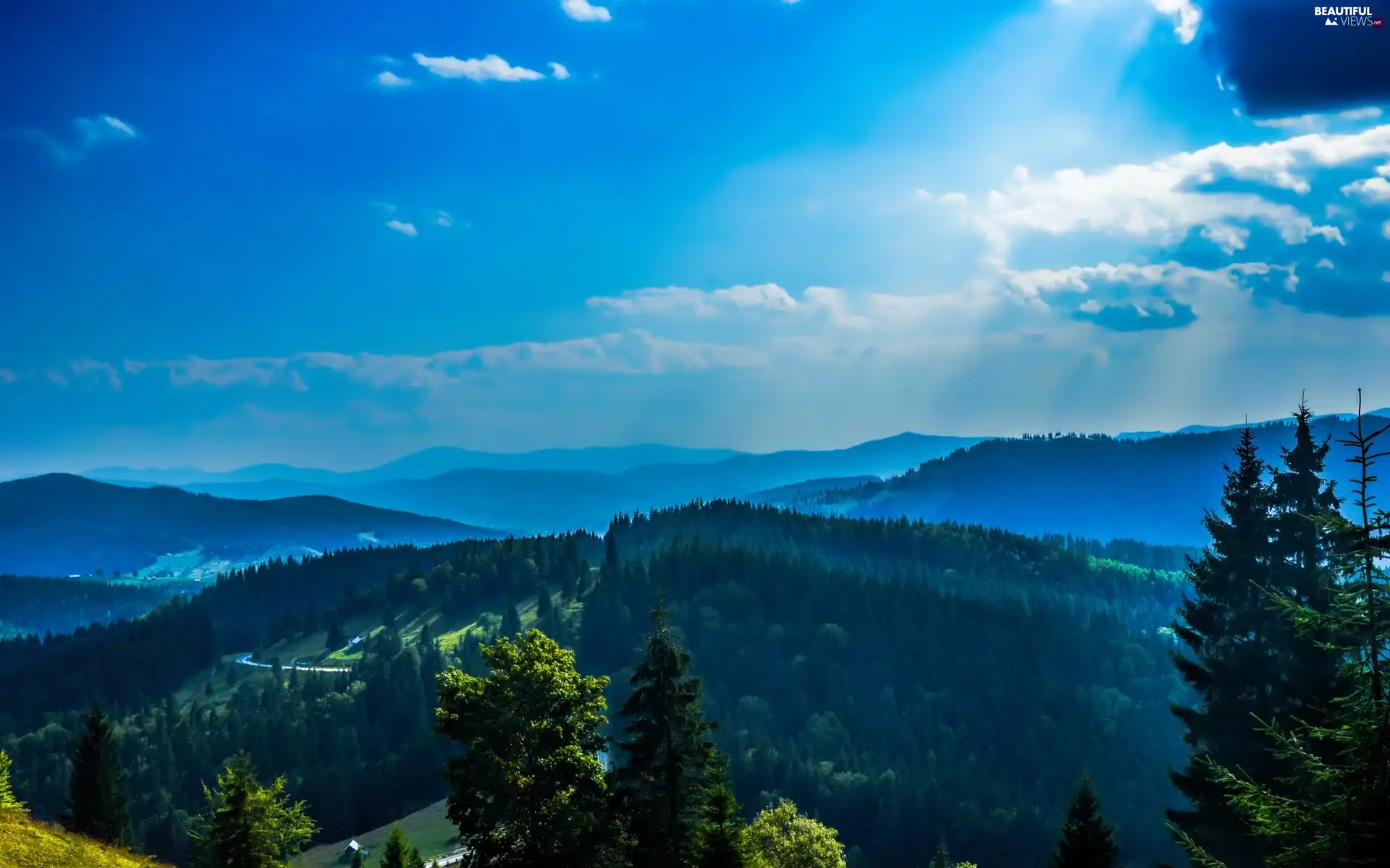 rays, sun, woods, Way, Mountains