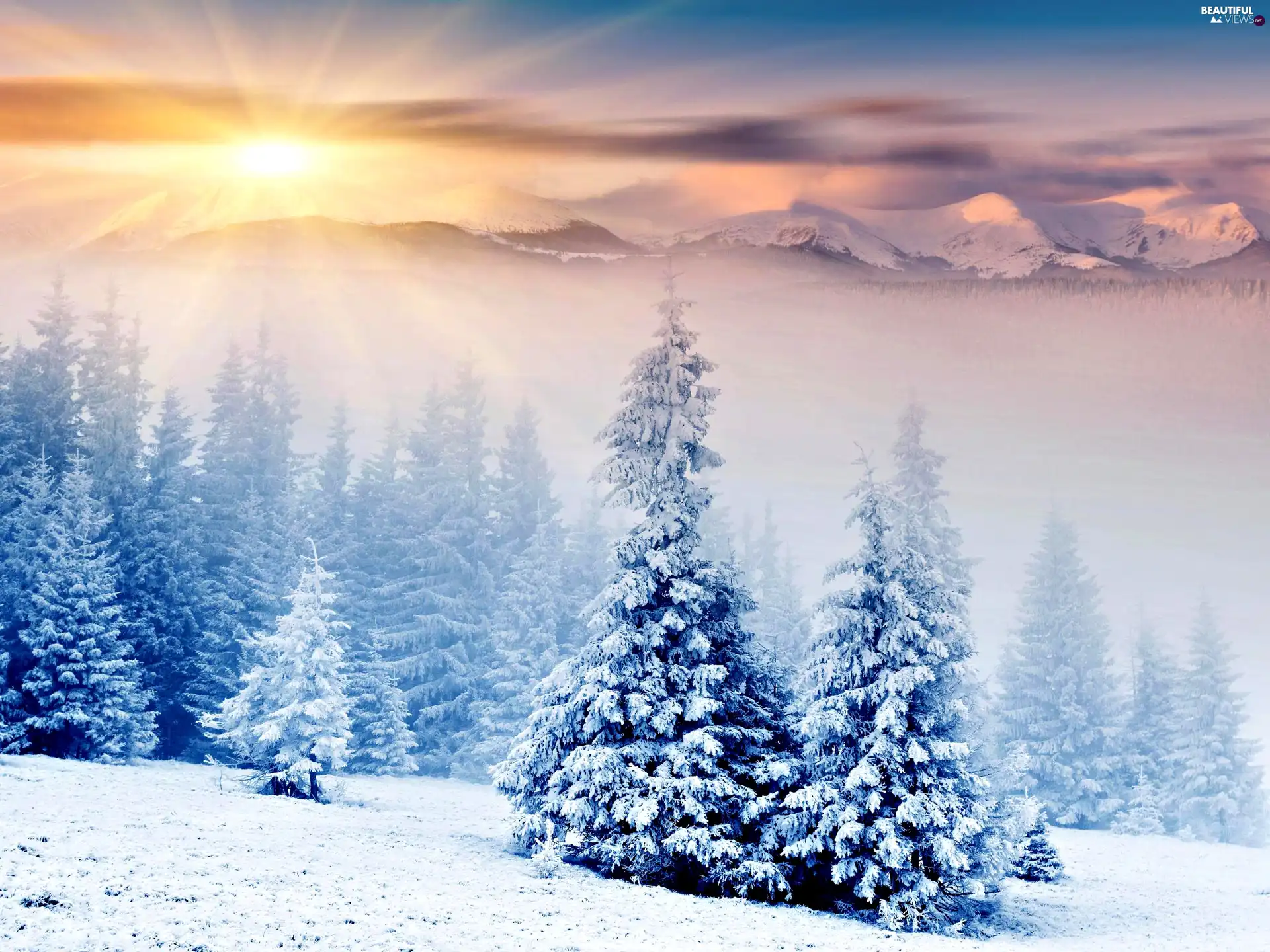 rays, sunny, woods, Christmas, Mountains
