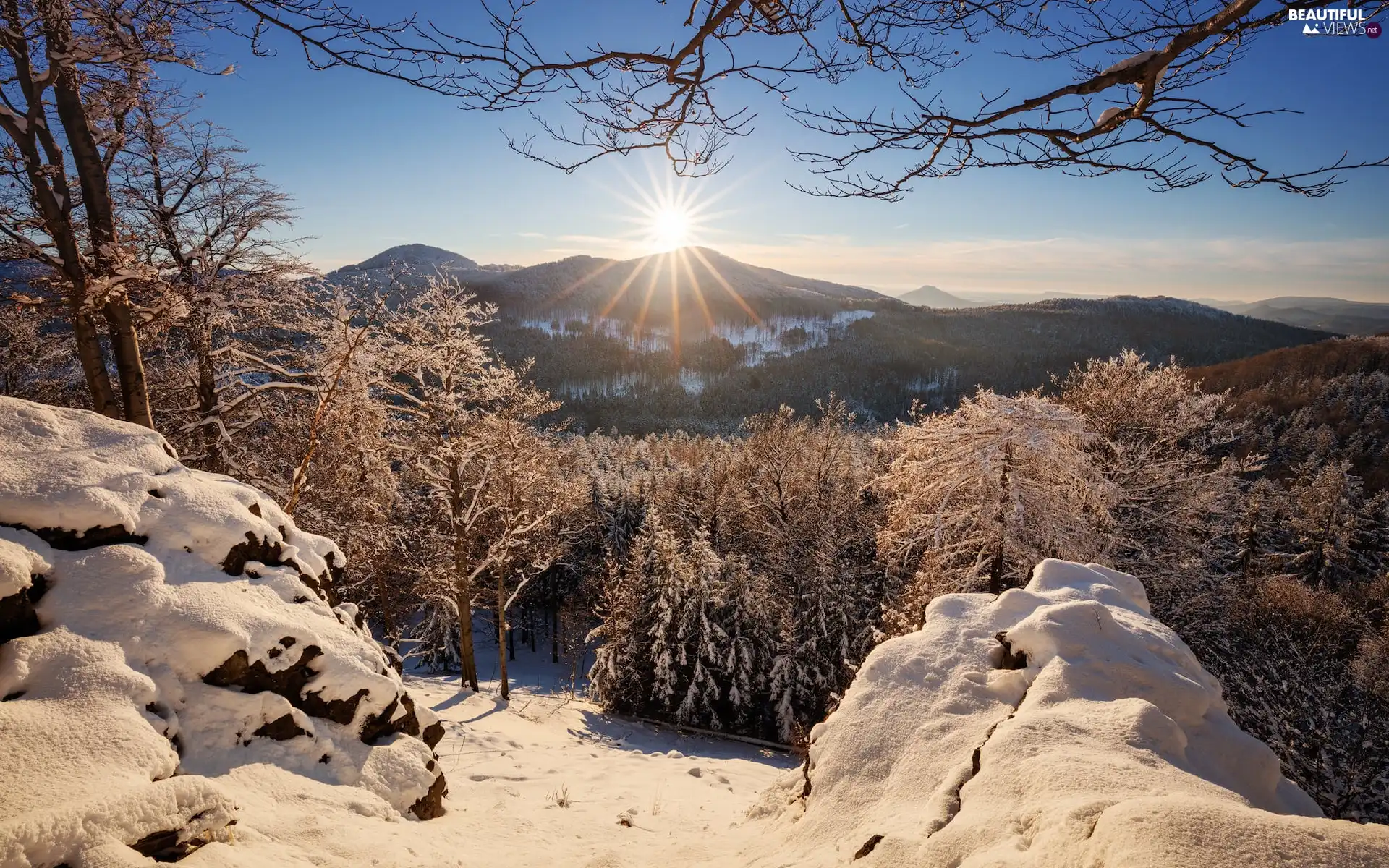 rays of the Sun, Mountains, viewes, branch pics, trees, winter
