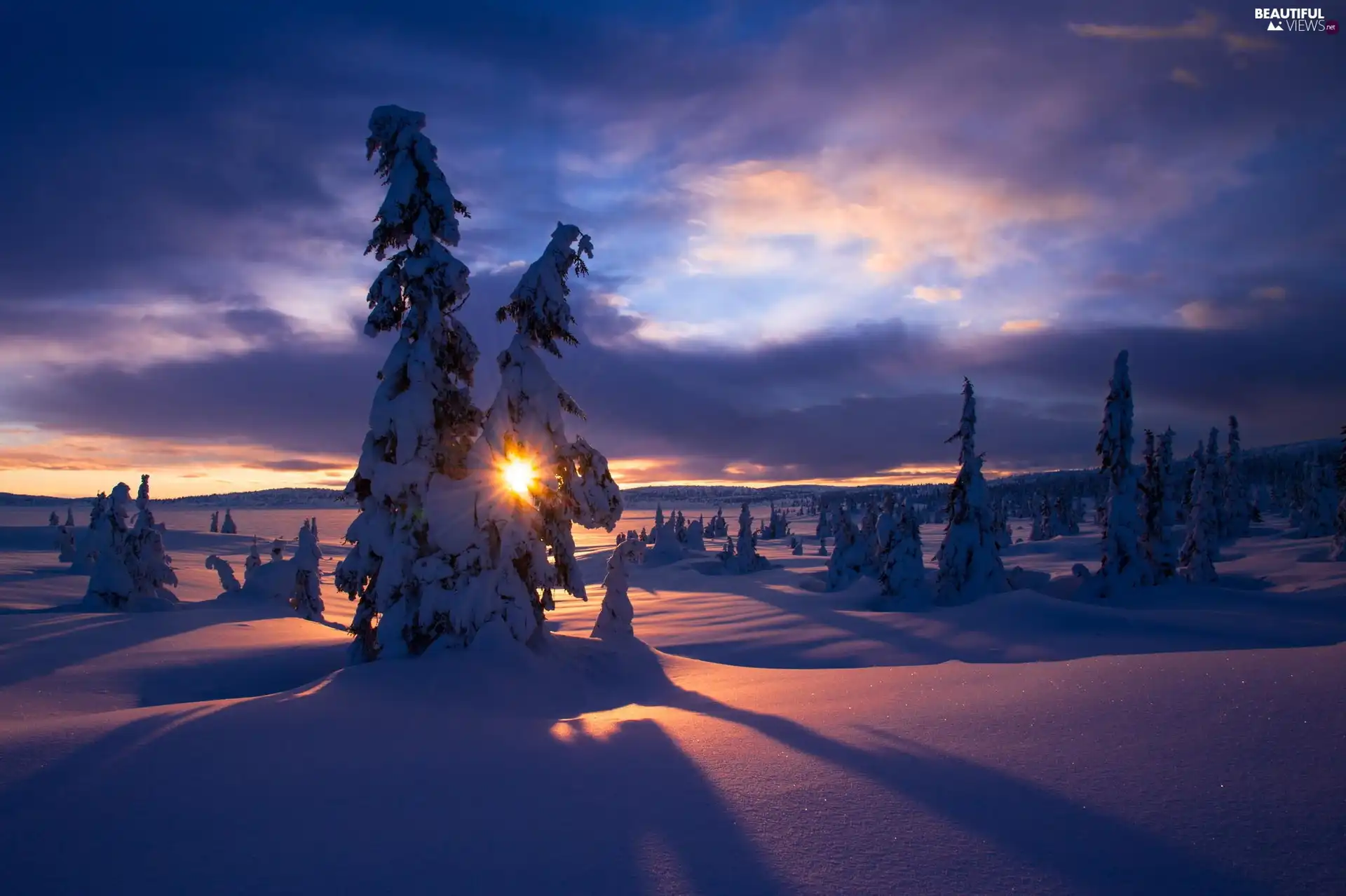 viewes, woods, sun, trees, Mountains, rays, winter