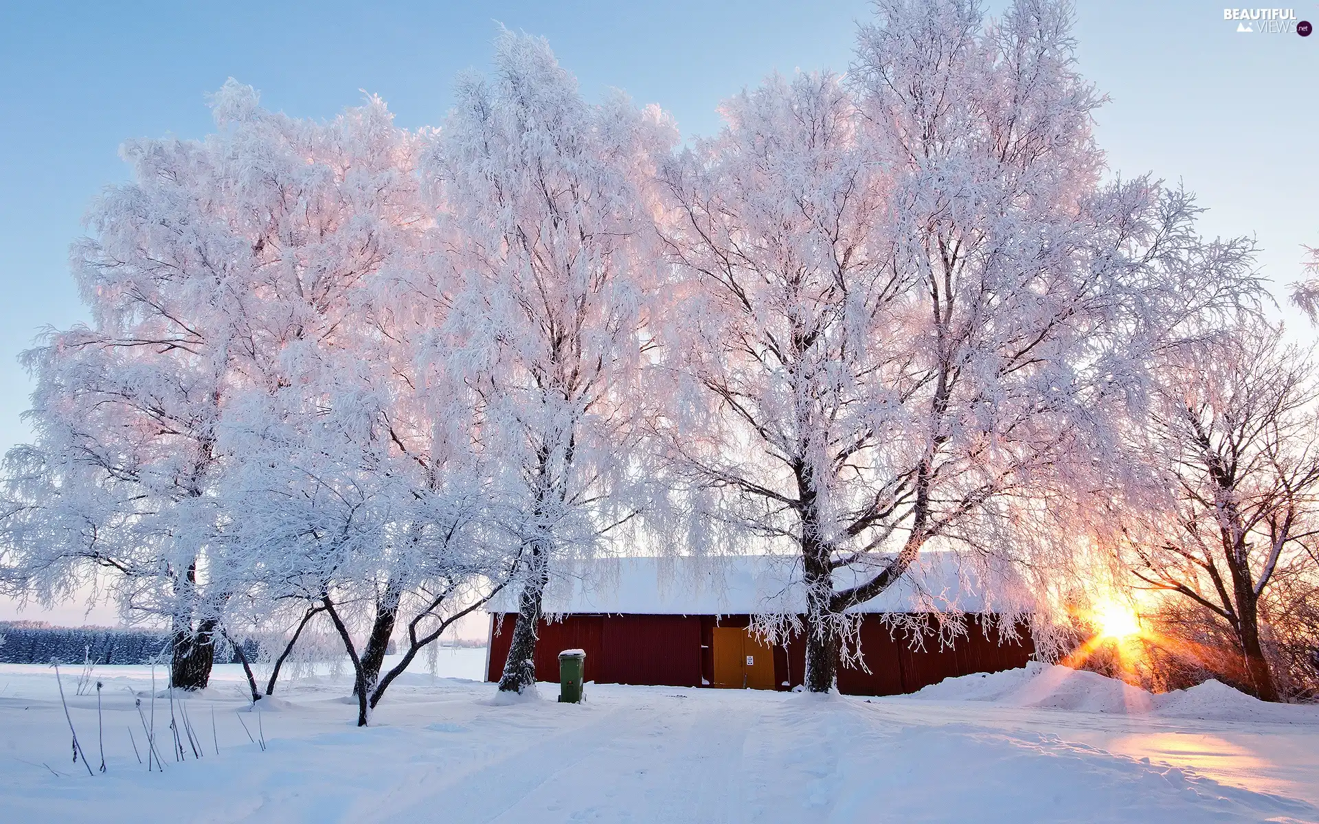 house, trees, sunny, viewes, field, rays, winter