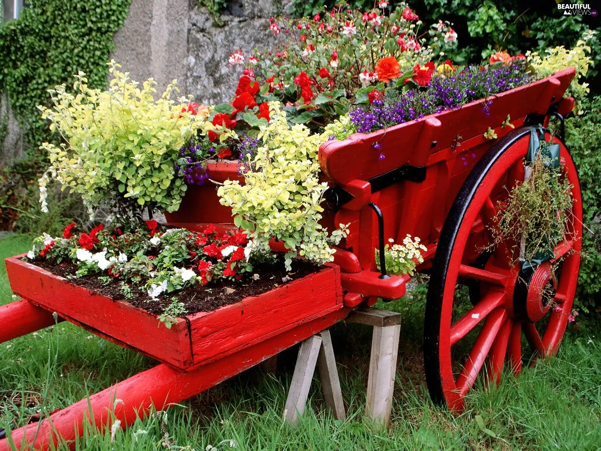 Red, circle, wagon, Flowers, flowerbed