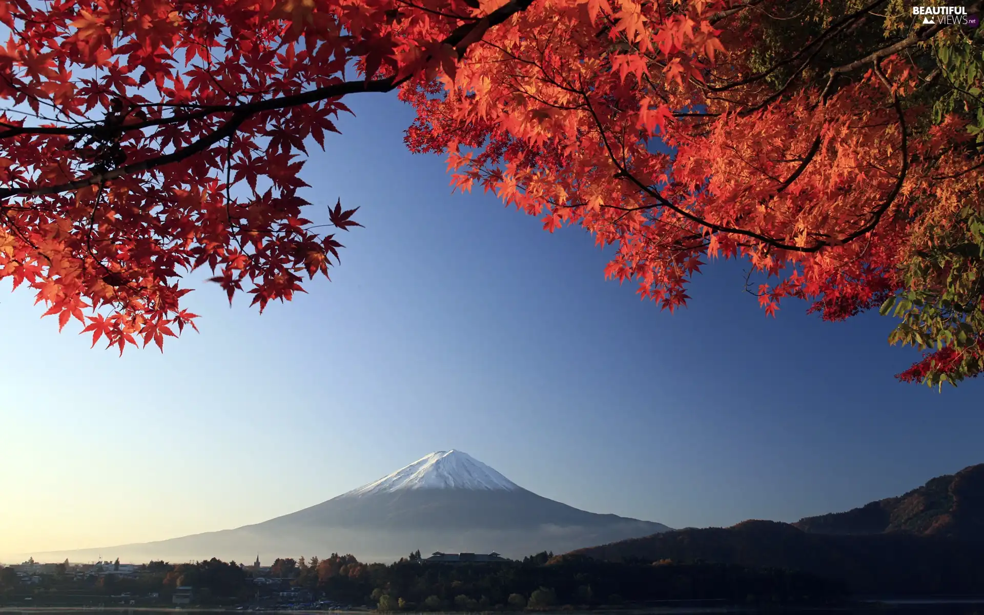 Mount, Japan, Red, Leaf, Fuji, mountains