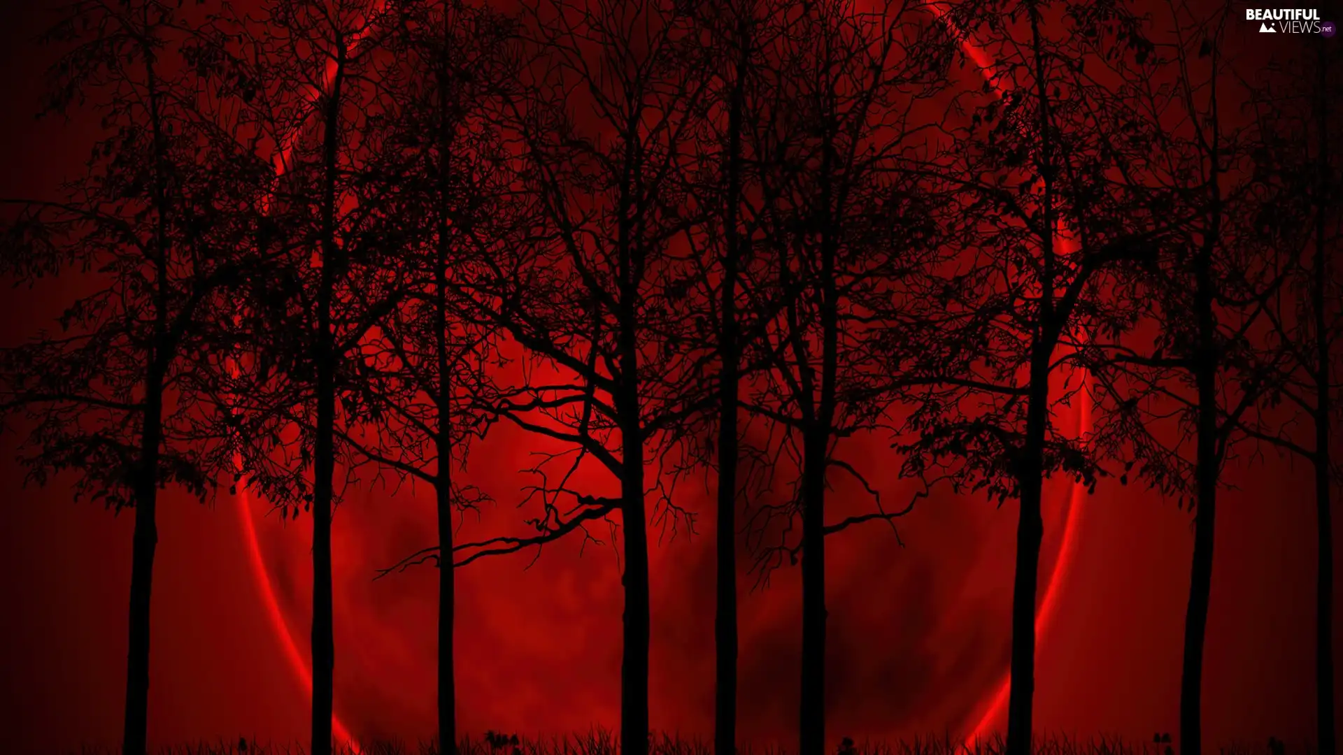 Red, moon, trees, viewes, Night