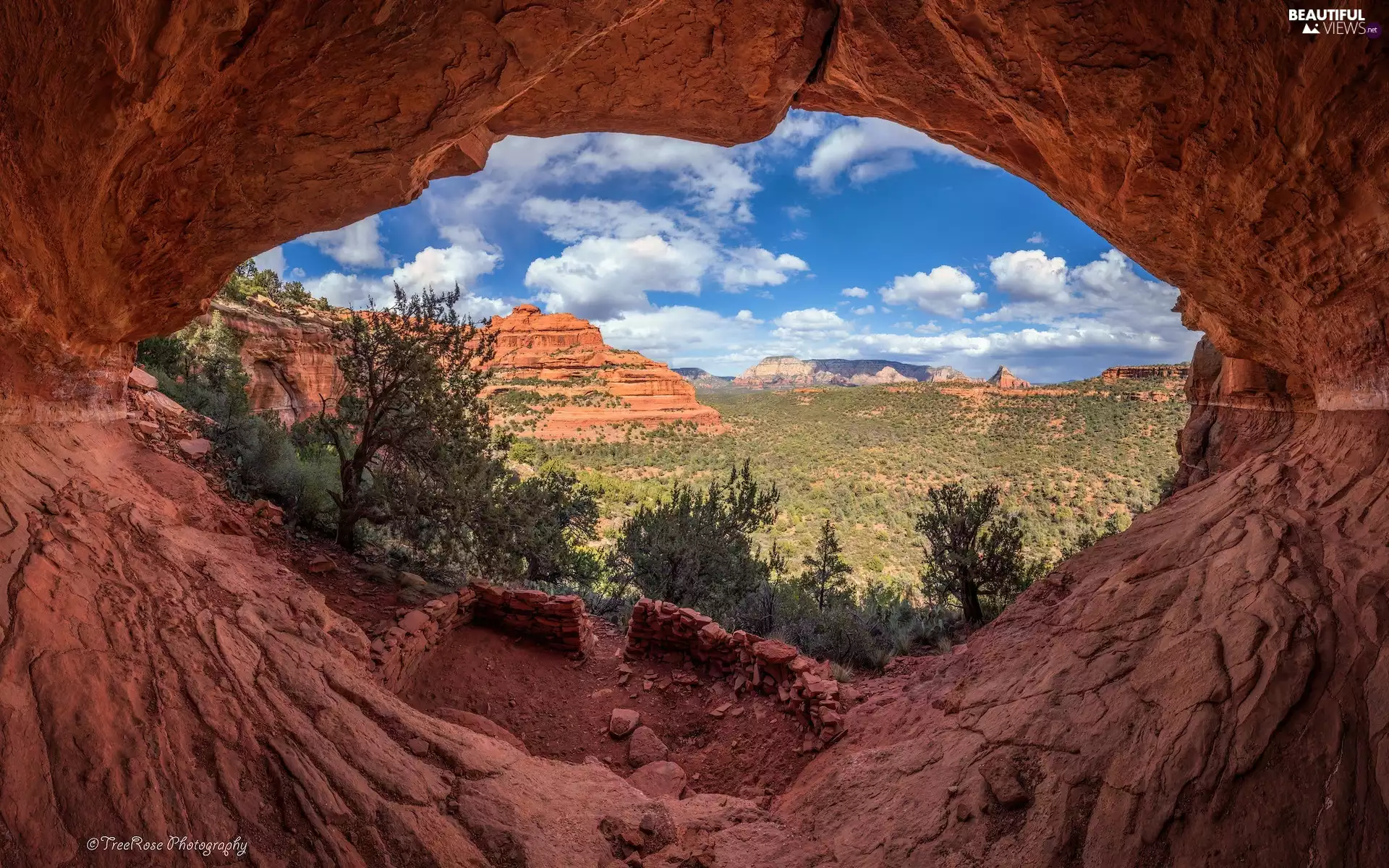 Red, Arizona, trees, Sedona, The United States, rocks, viewes