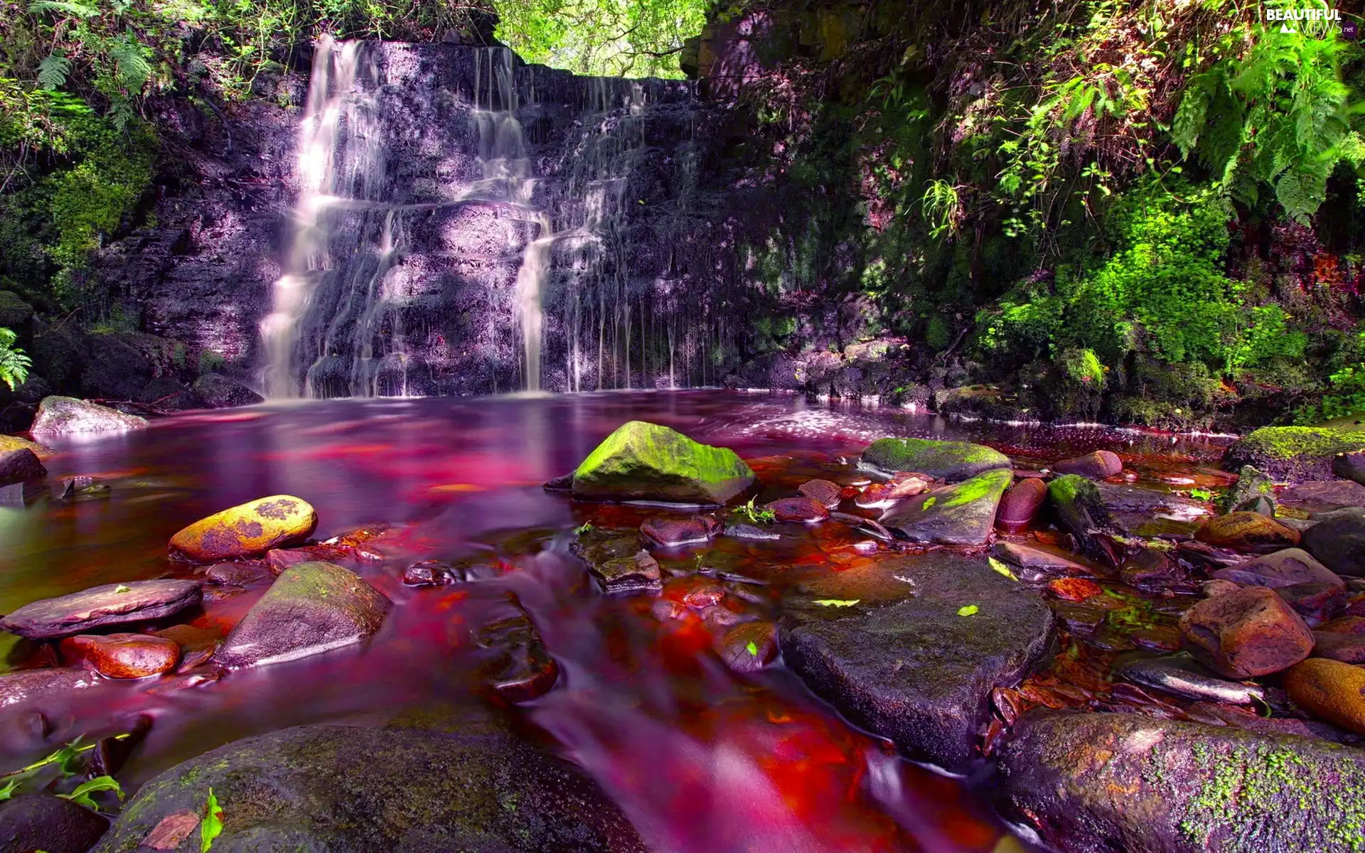 red hot, water, ##, Forest, waterfall