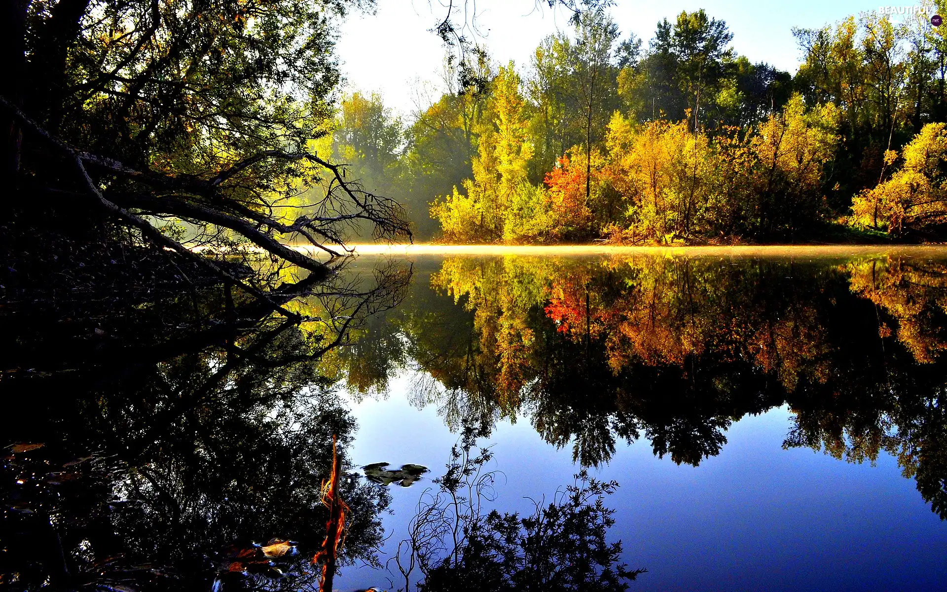 autumn, forest, reflection, lake