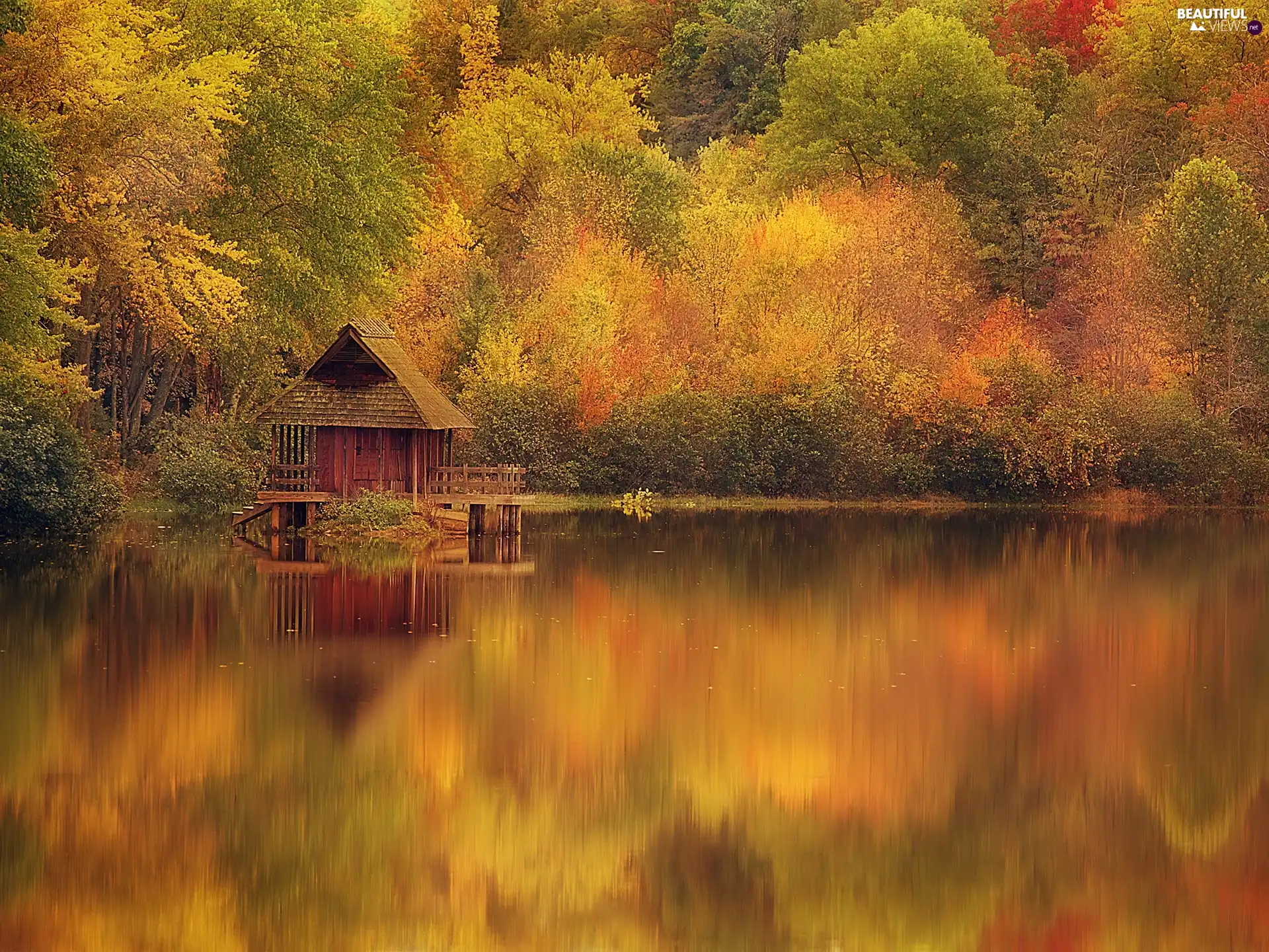 viewes, lake, reflection, autumn, Home, trees