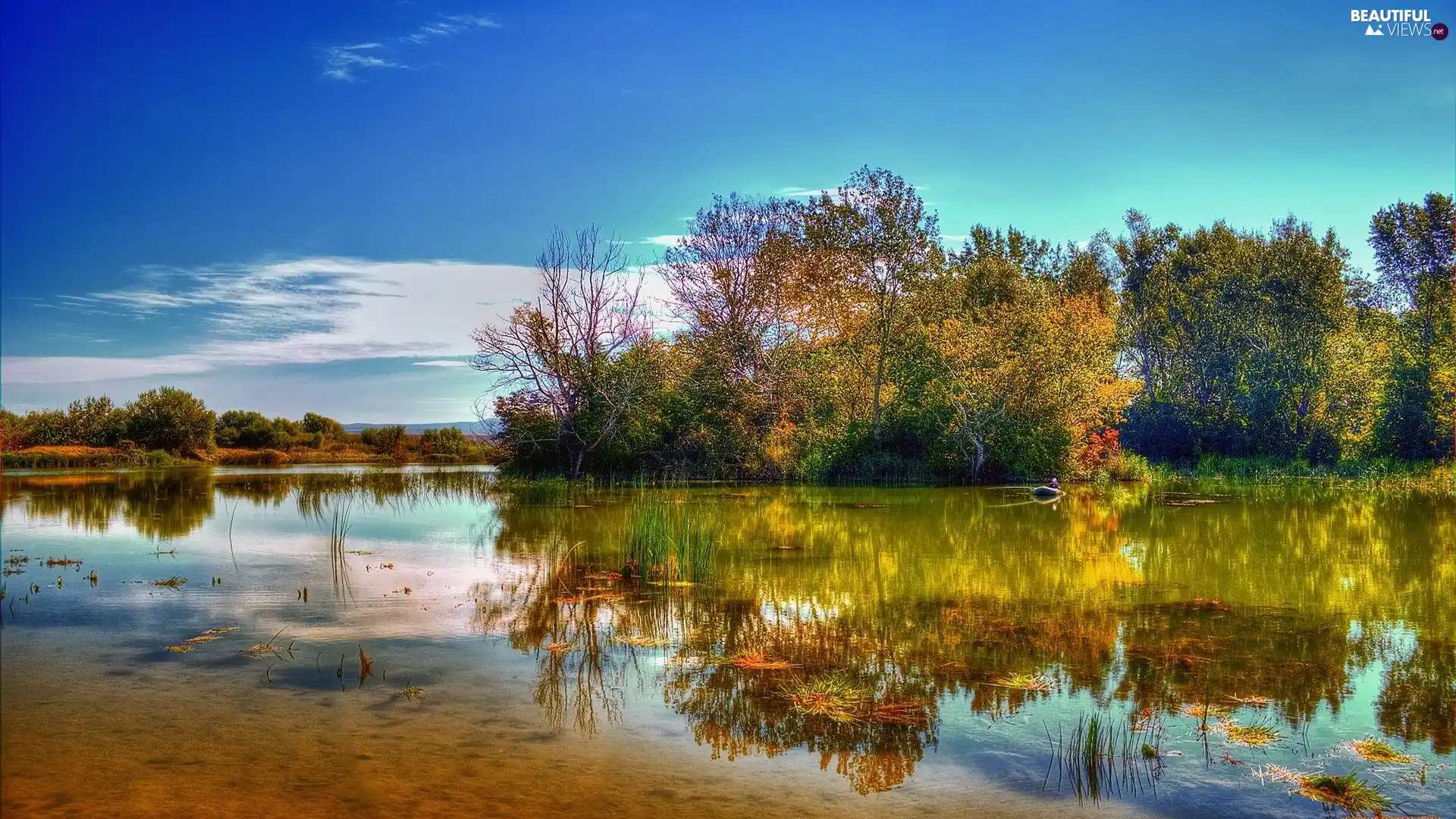 reflection, autumn, trees, viewes, lake