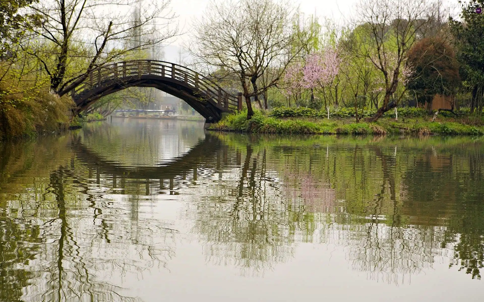 reflection, River, bridges