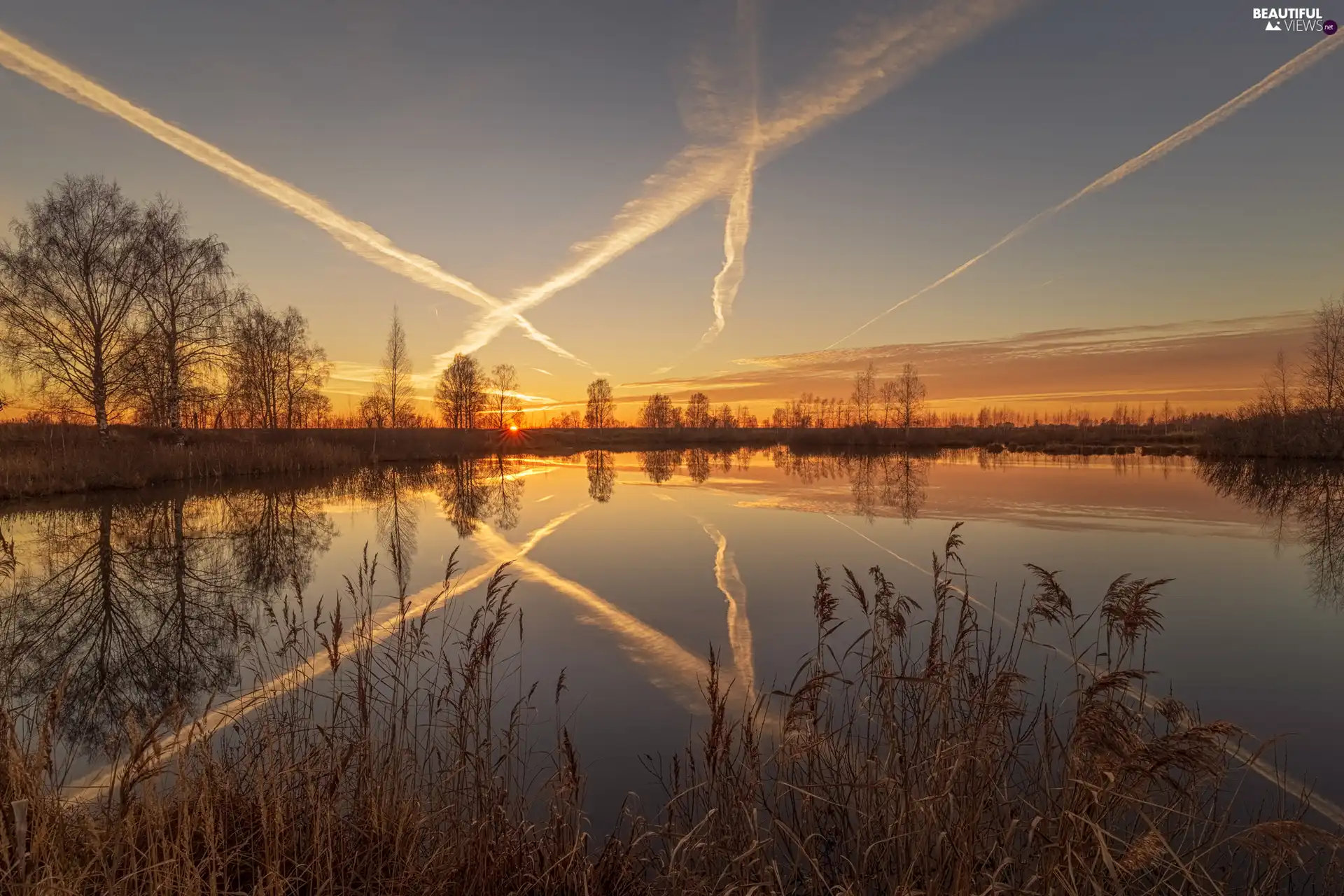 trees, River, cane, reflection, viewes, Great Sunsets