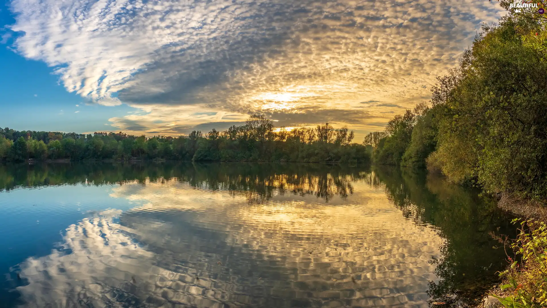 trees, lake, Sunrise, reflection, viewes, clouds