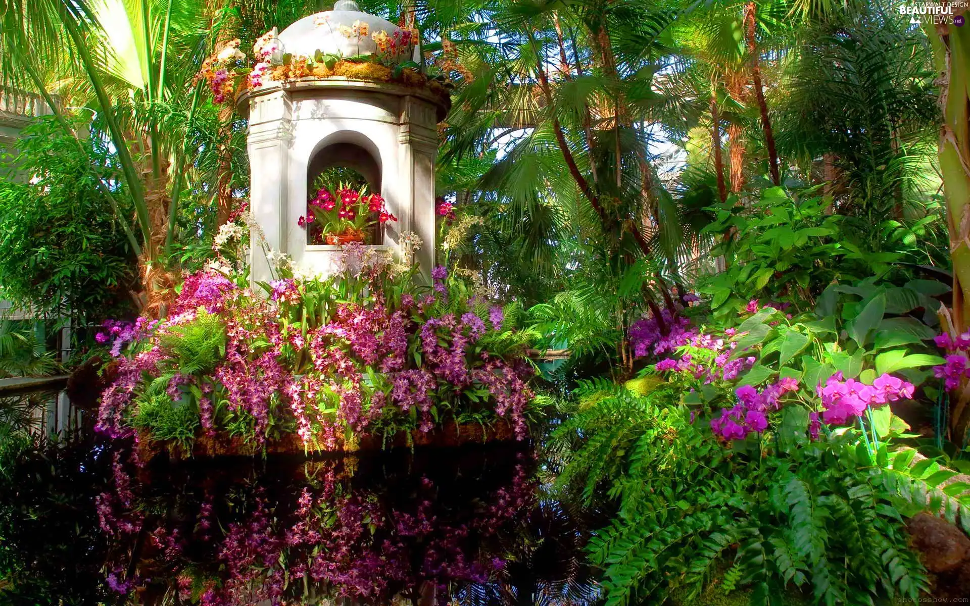 exotic, pavilion, reflection, Garden