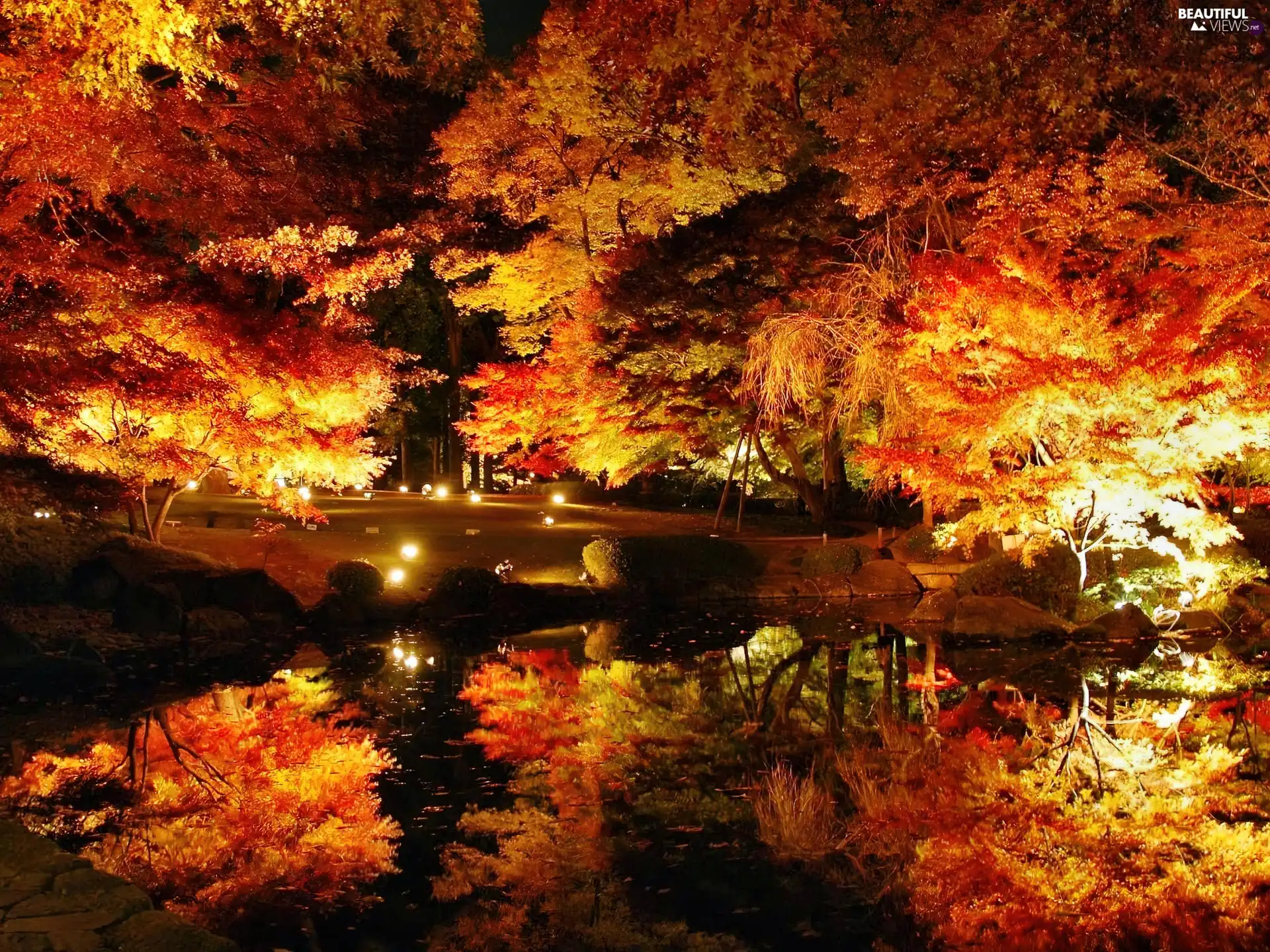 Floodlit, Pond - car, reflection, Park