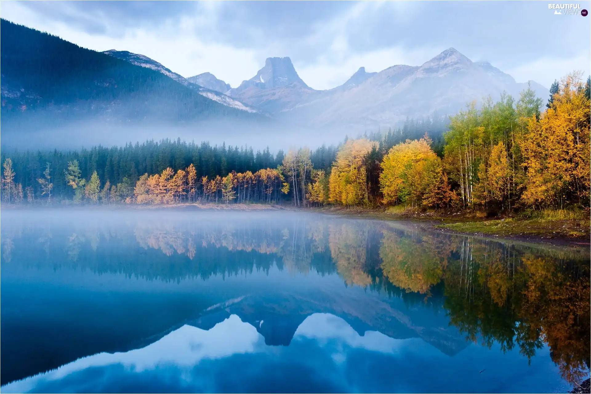 reflection, Fog, lake, forest, Mountains