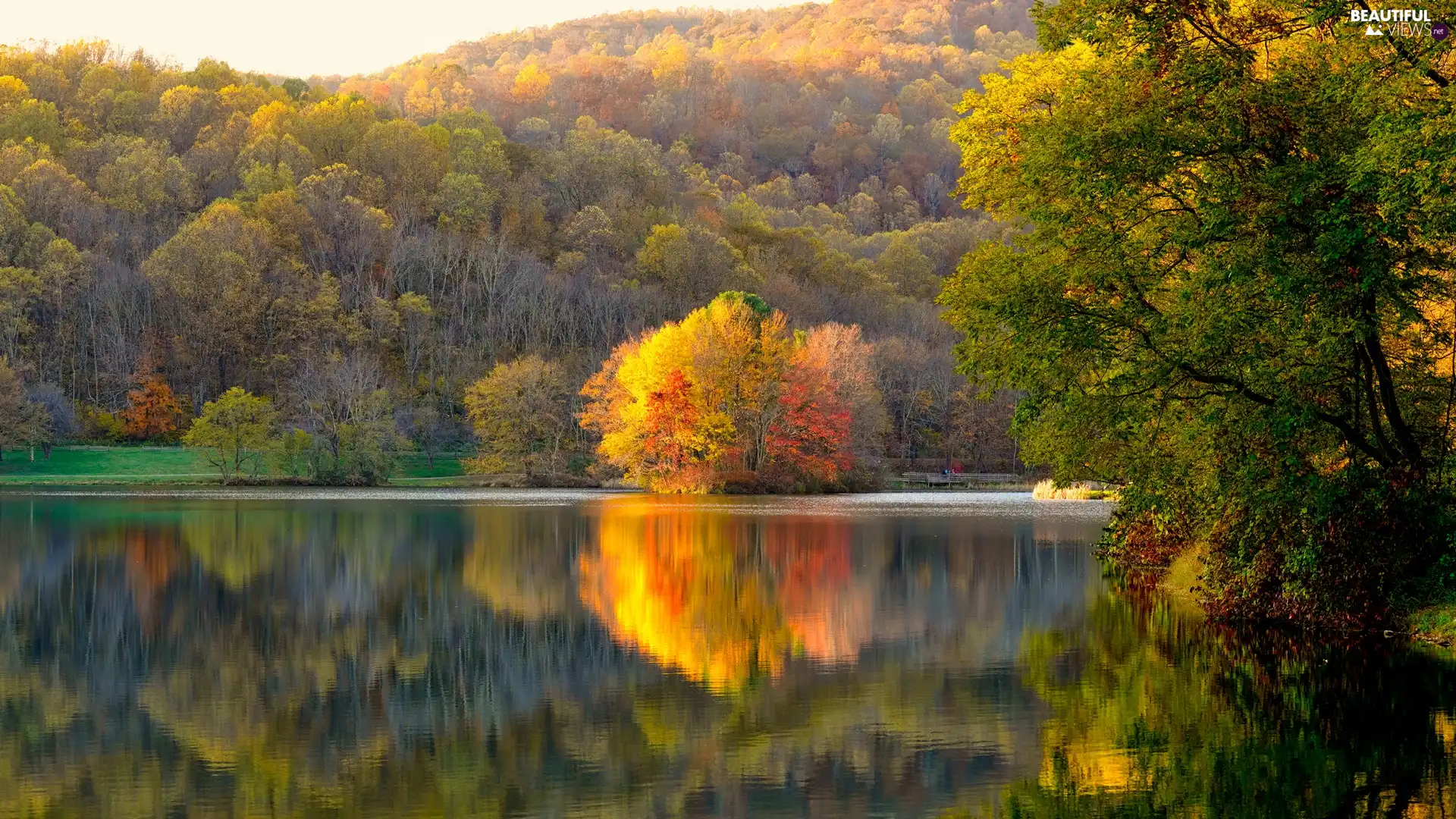 trees, lake, autumn, reflection, viewes, forest