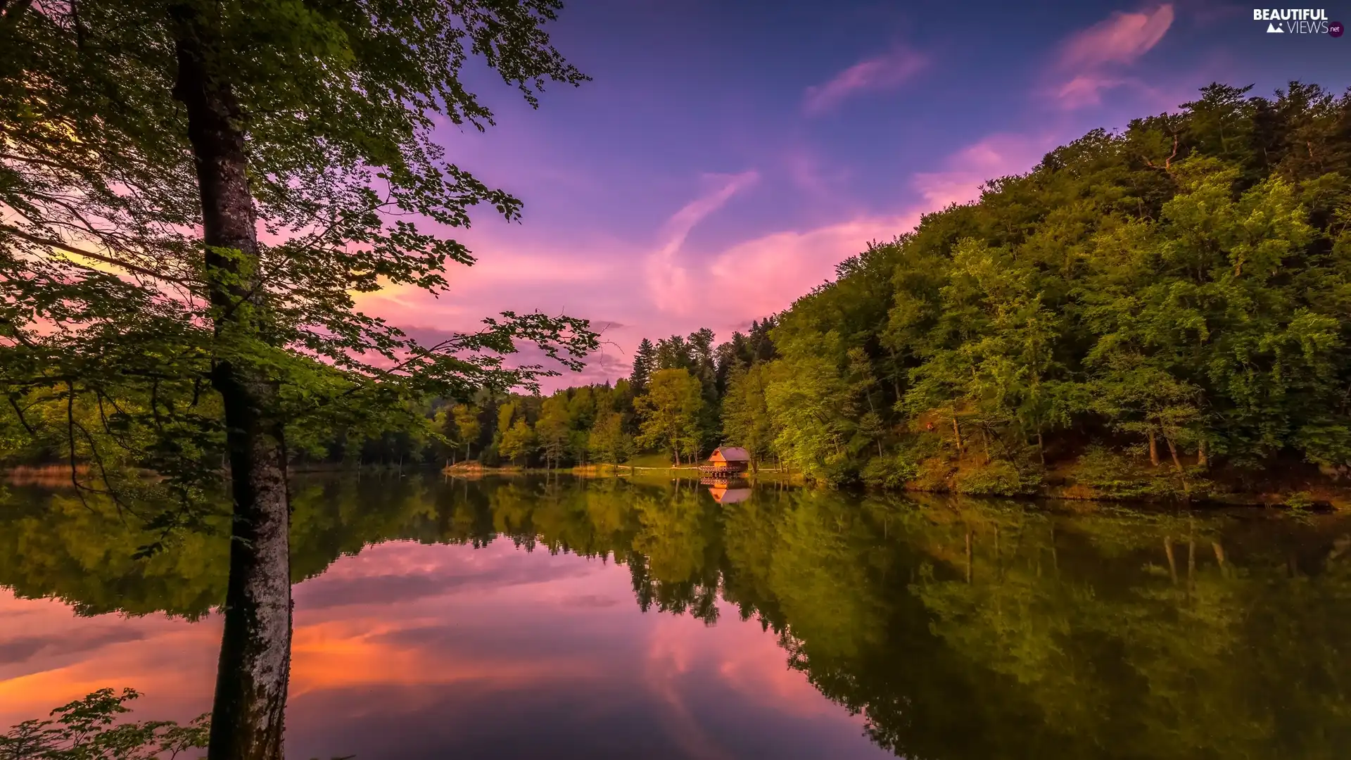 forest, trees, Great Sunsets, viewes, lake, Home, reflection