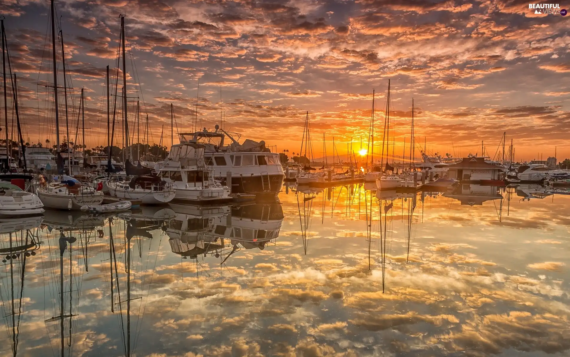 State of California, The United States, San Diego, Harbour, Sunrise, Sailboats, clouds, reflection, Yachts