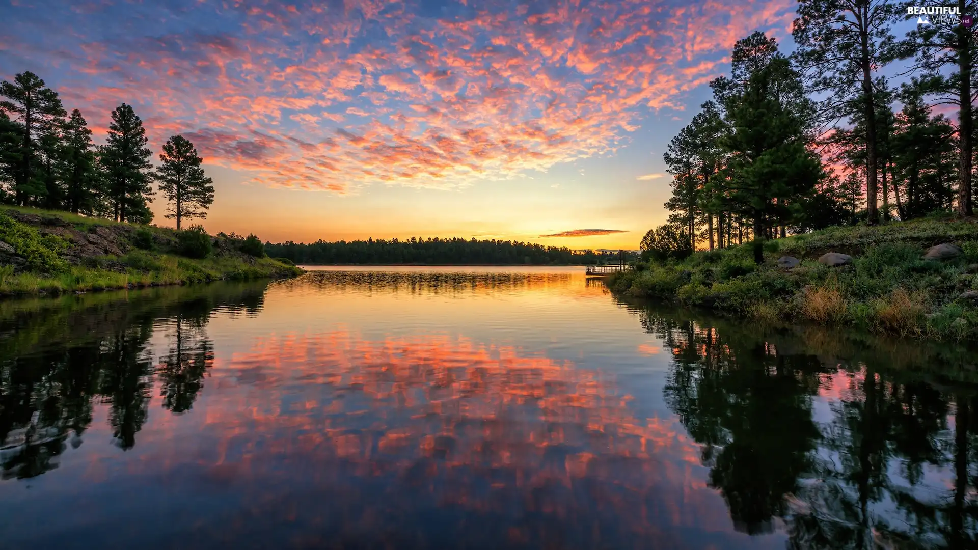 trees, Sunrise, clouds, reflection, viewes, lake