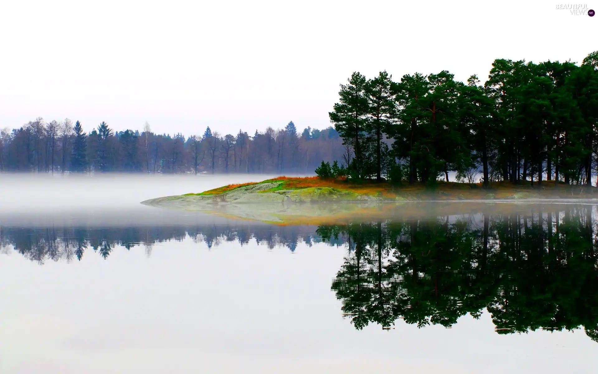 reflection, forest, lake