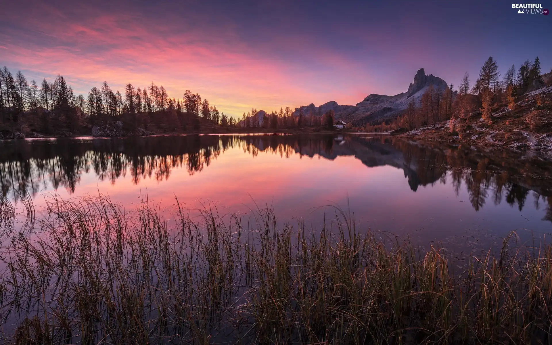 rushes, reflection, lake, Sunrise, Mountains