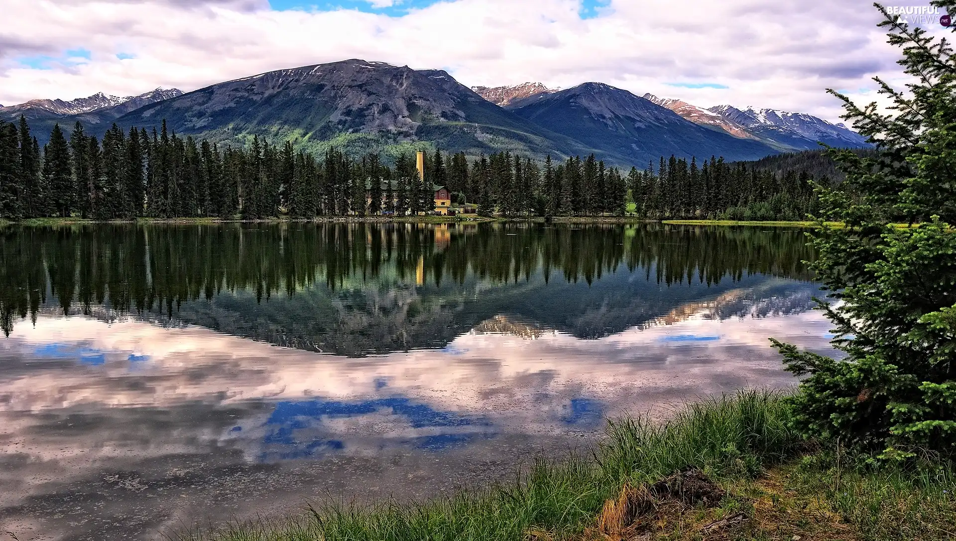 lake, Spruces, reflection, Mountains