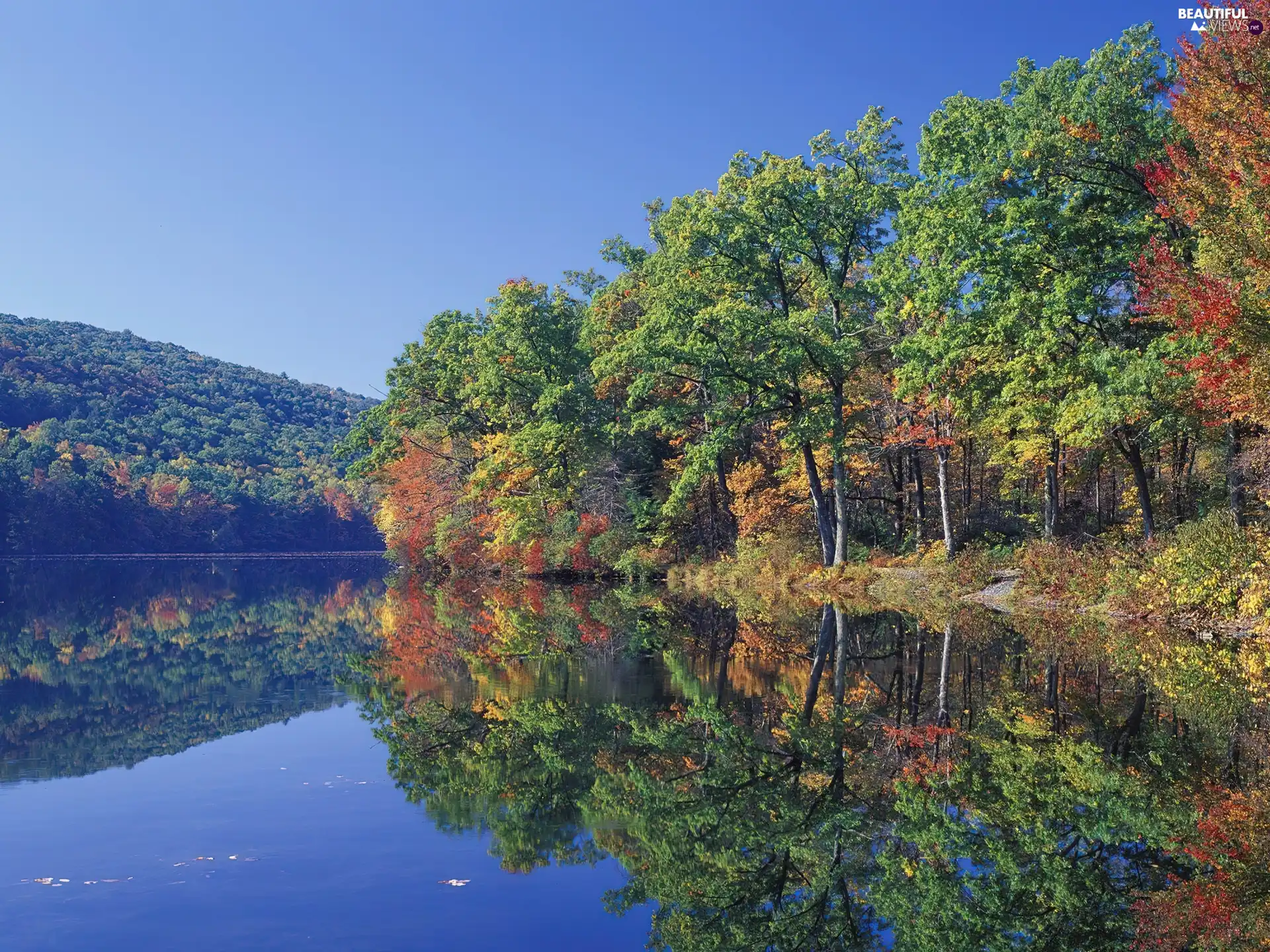 reflection, lake, viewes, Mirror, trees