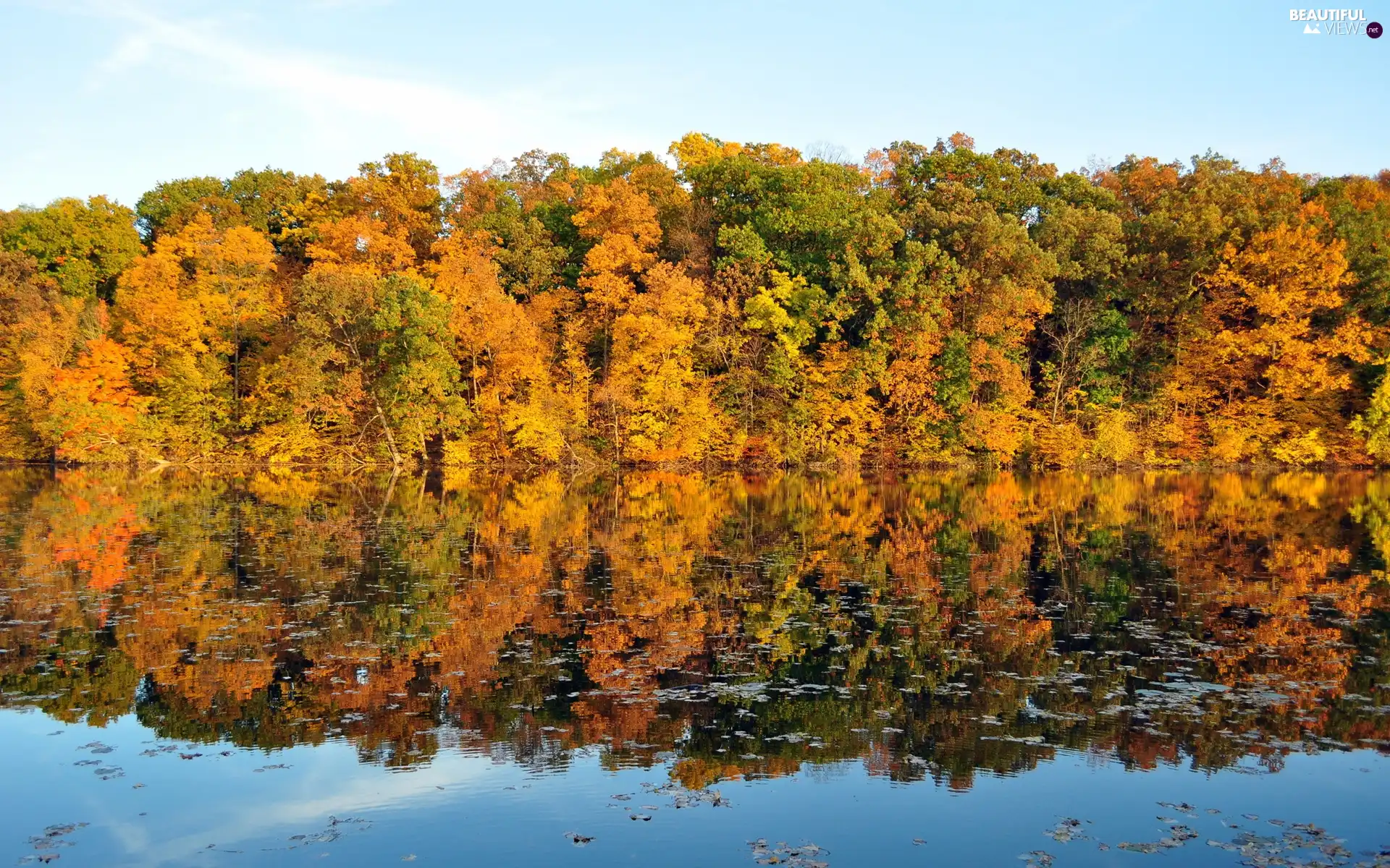 lake, viewes, reflection, trees