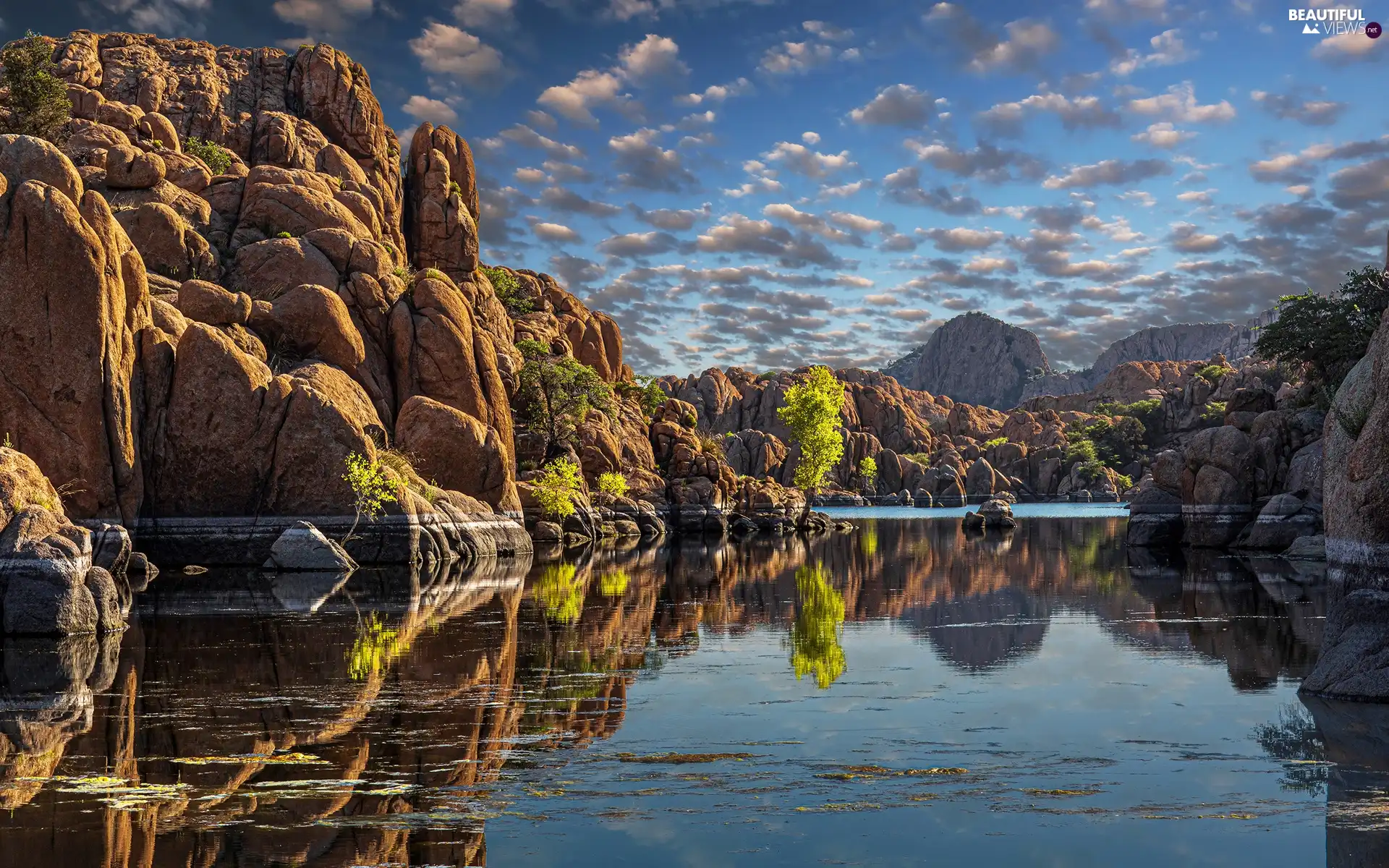 Plants, reflection, Mountains, rocks, lake