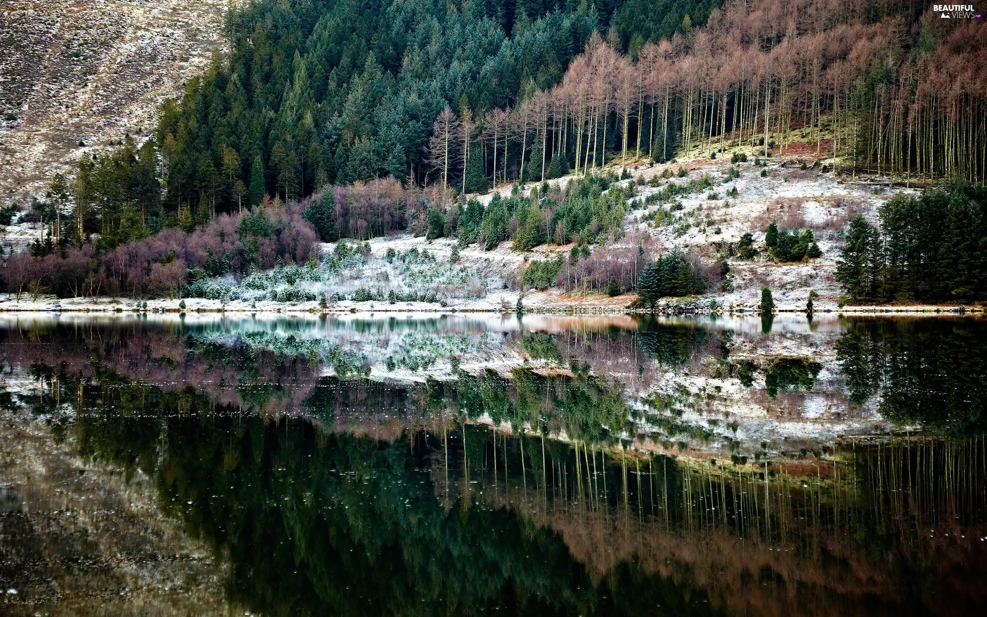 Mountains, water, reflection, woods