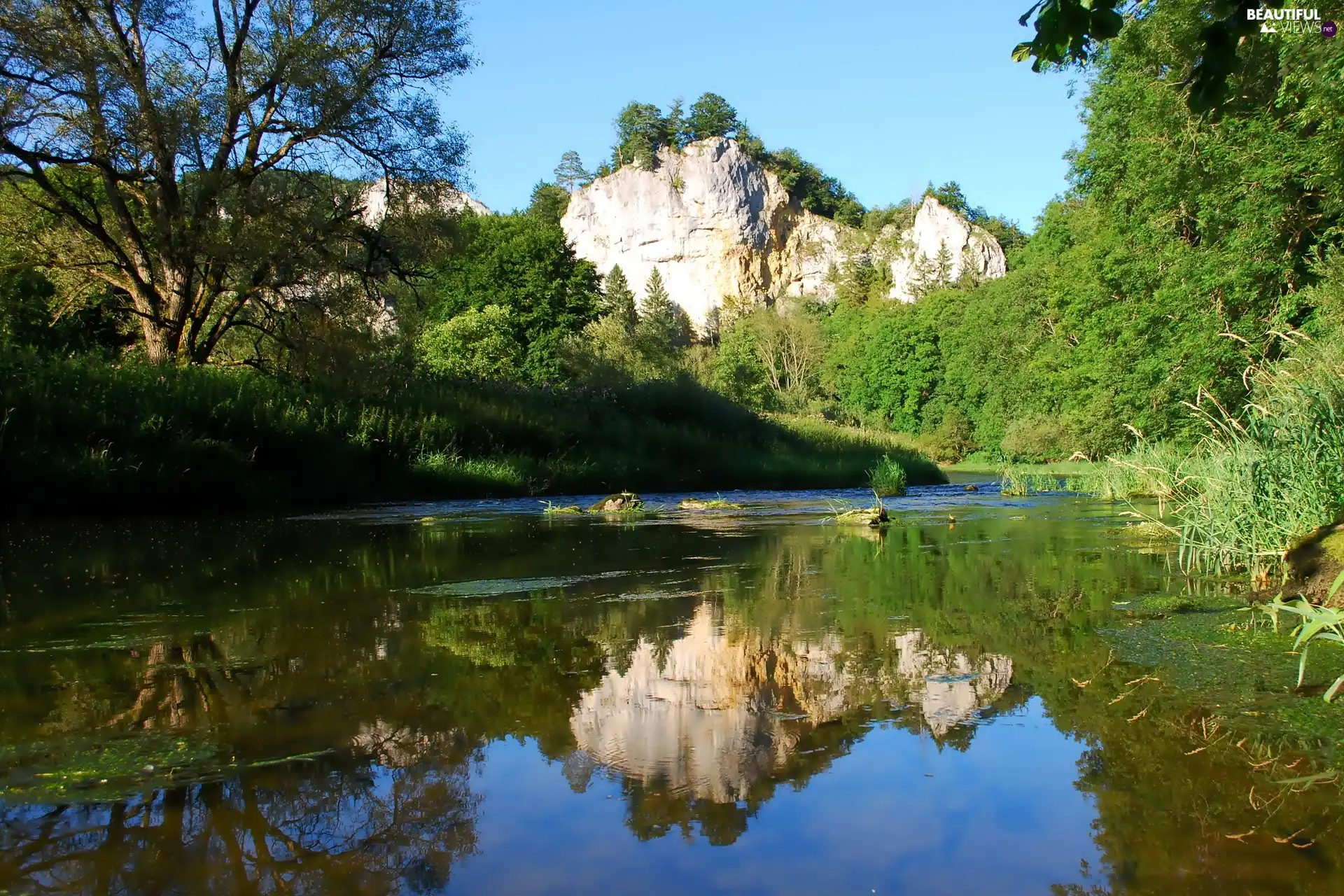 reflection, River, rocks